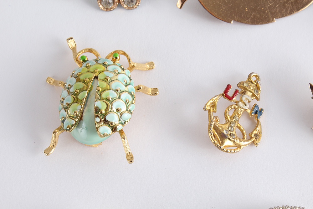 Unique Assortment of Pins