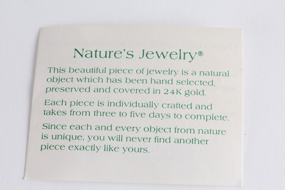 Unique Nature's Jewelry Shell Necklace