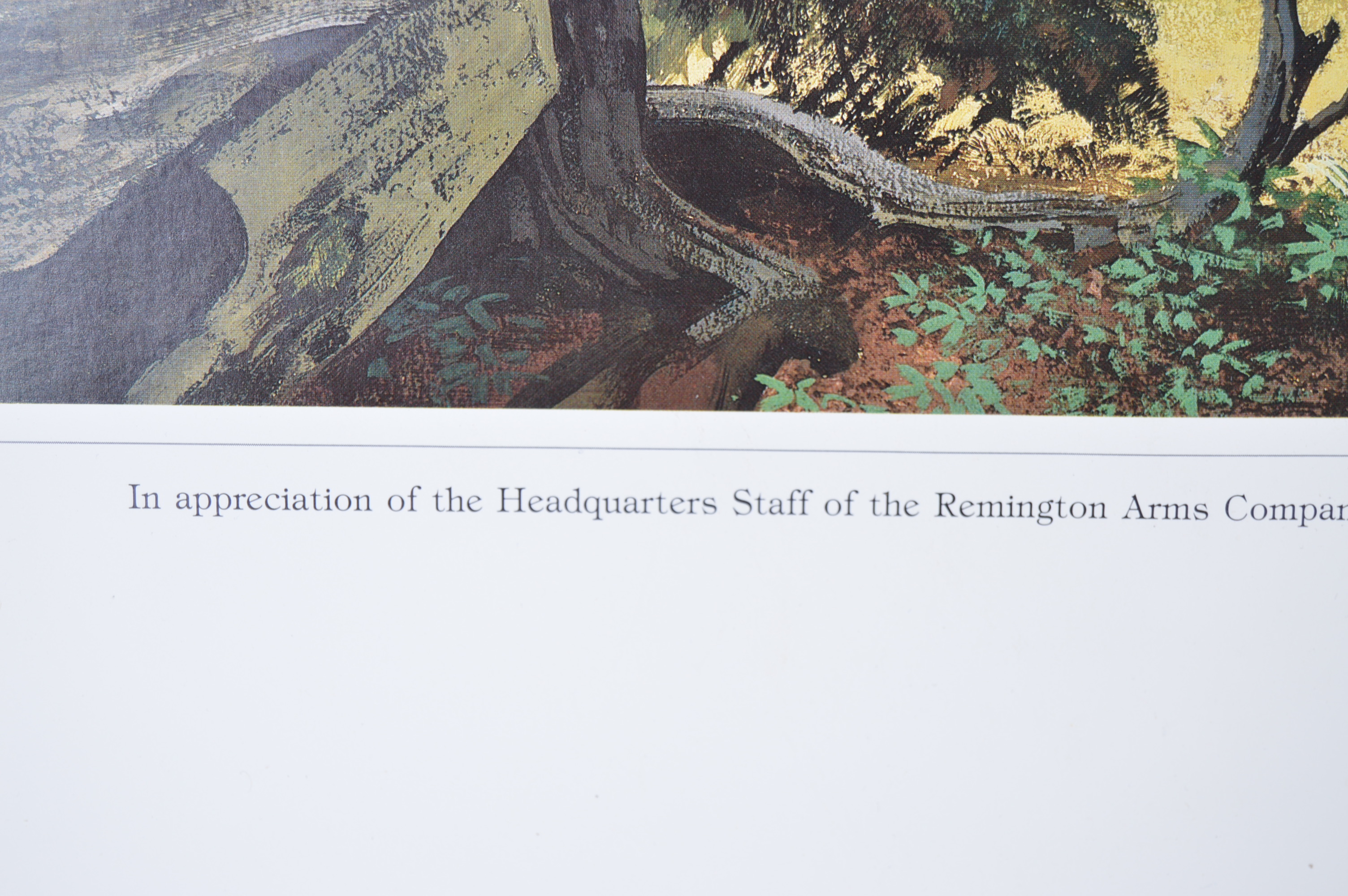 Limited Edition Unframed Remington Arms Company Lithographs