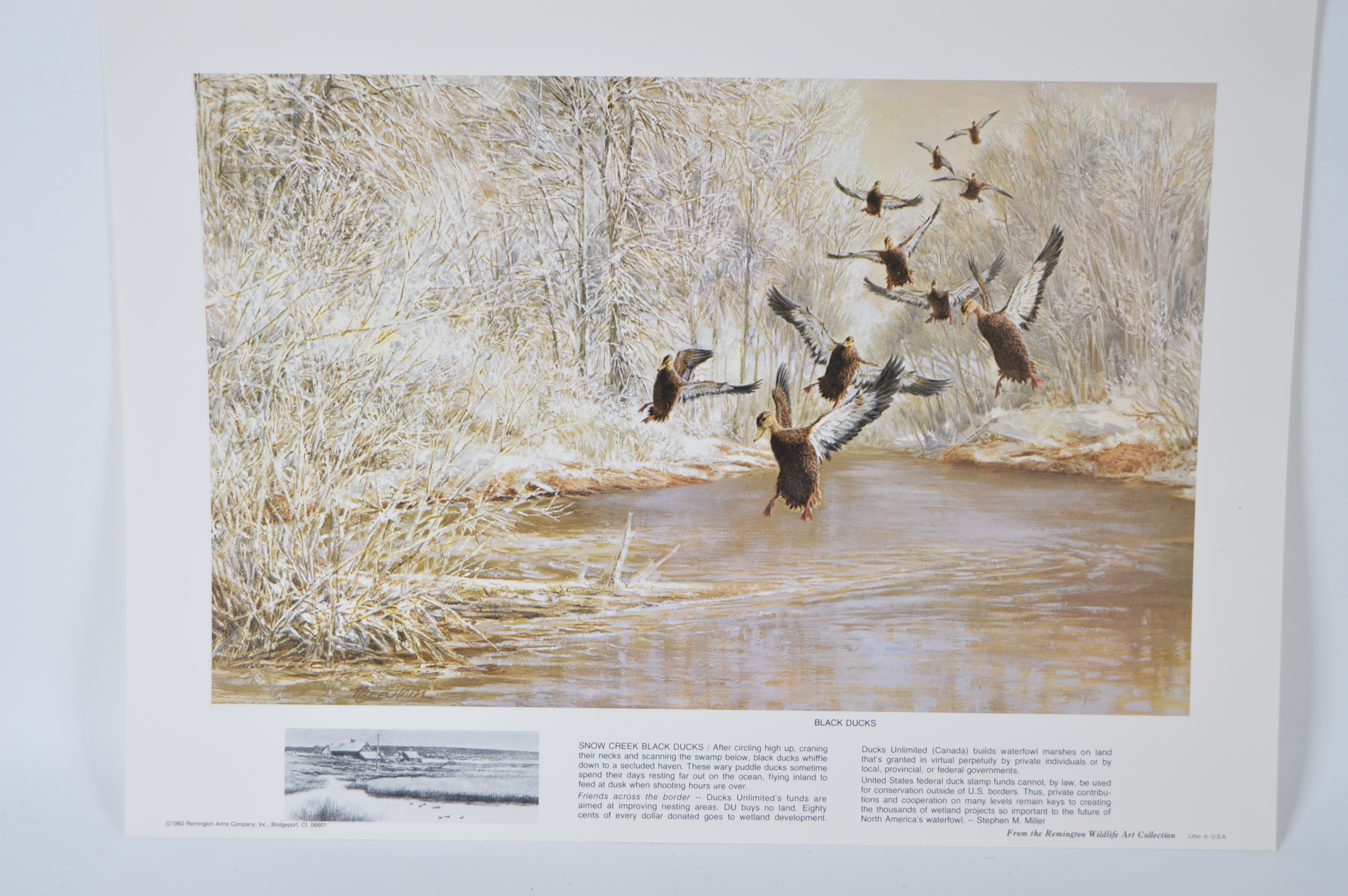 Limited Edition Unframed Remington Arms Company Lithographs