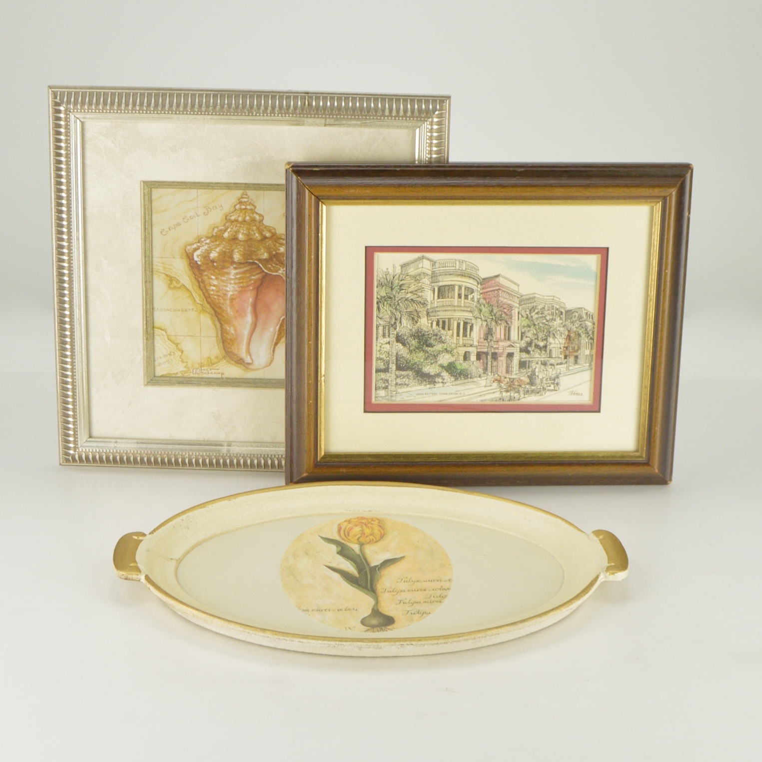 Framed Charleston, S.C. and Massachusetts Shell Prints