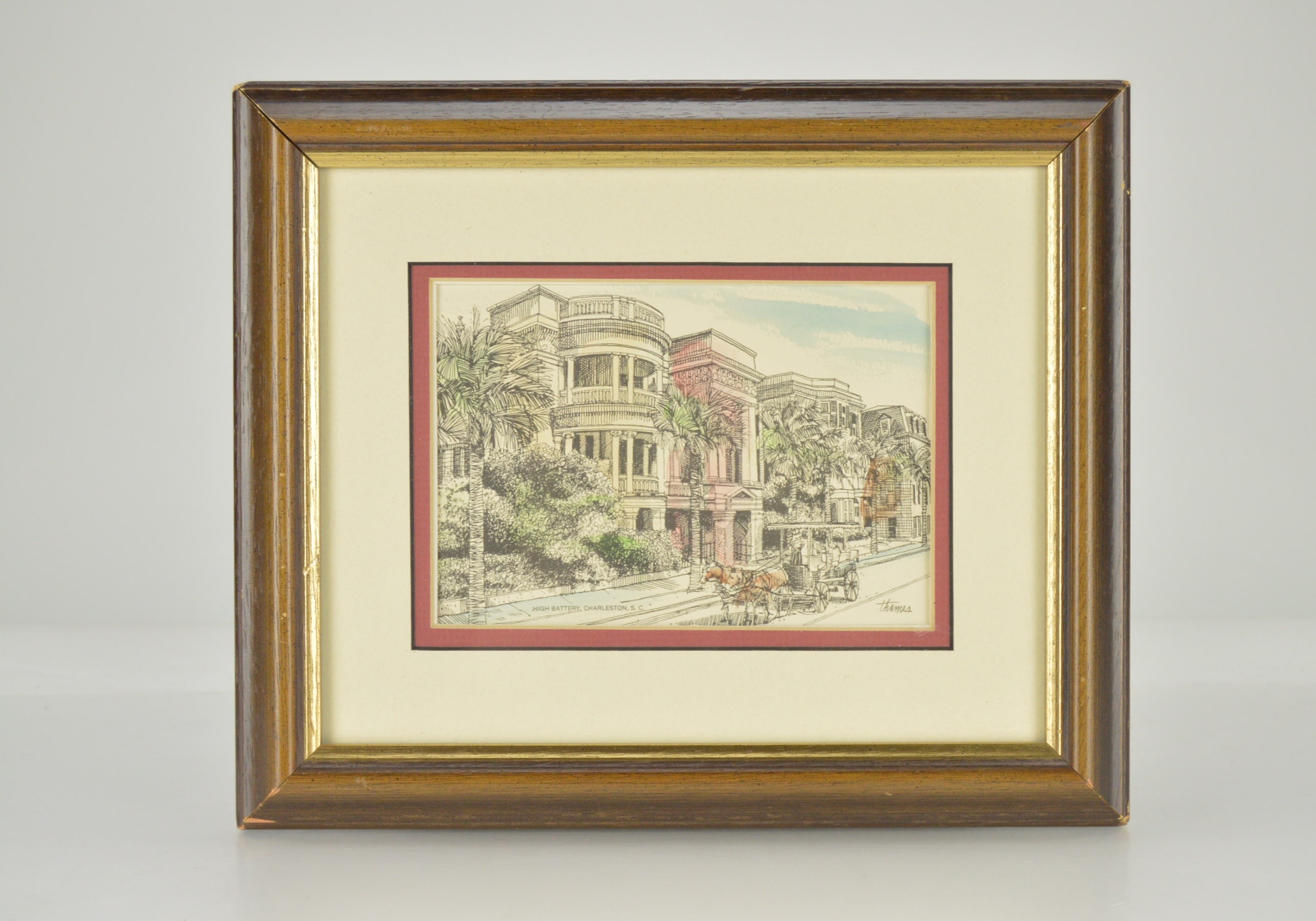 Framed Charleston, S.C. and Massachusetts Shell Prints