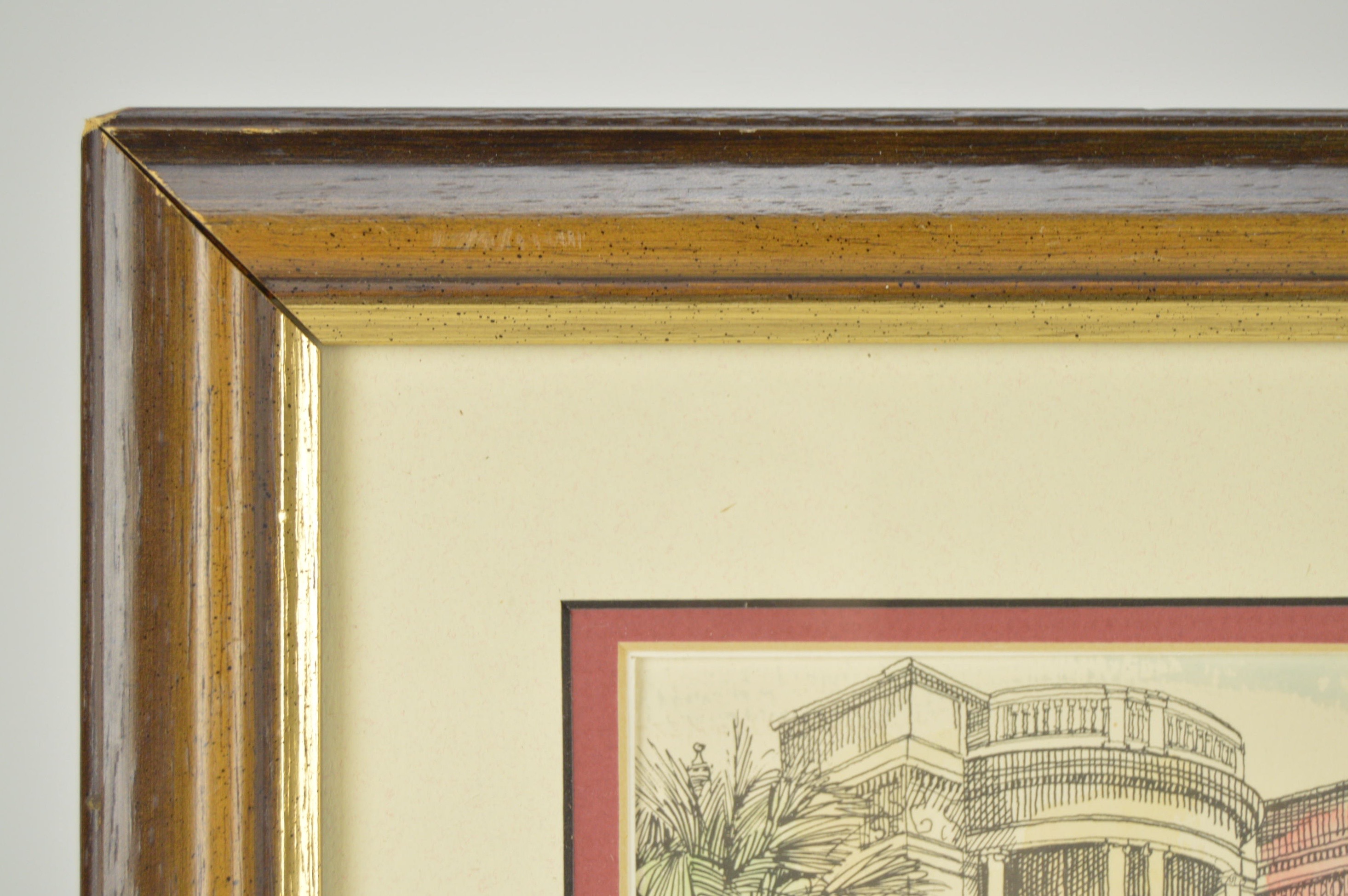 Framed Charleston, S.C. and Massachusetts Shell Prints