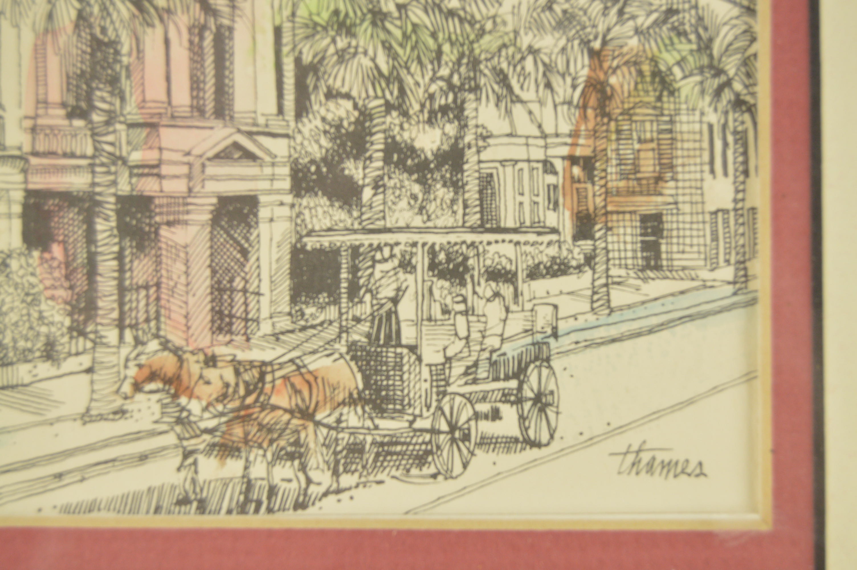 Framed Charleston, S.C. and Massachusetts Shell Prints