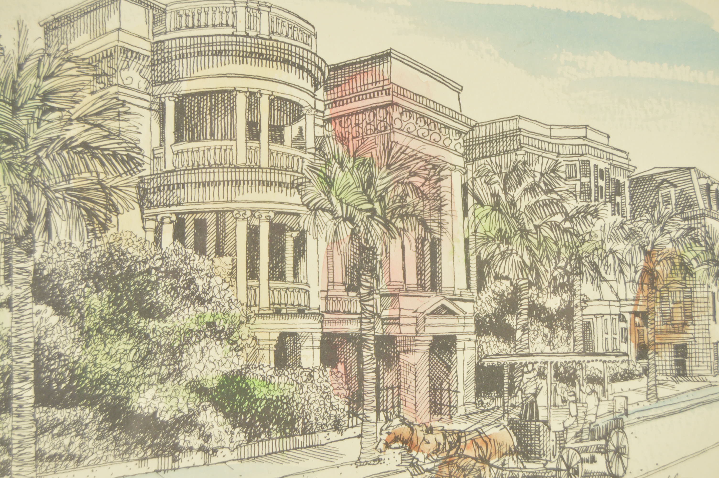 Framed Charleston, S.C. and Massachusetts Shell Prints