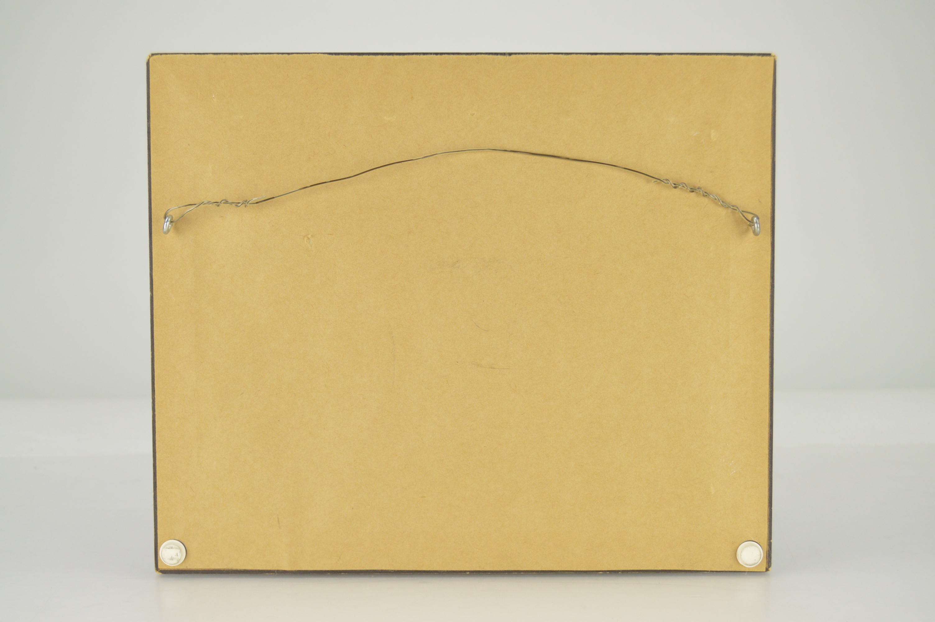 Framed Charleston, S.C. and Massachusetts Shell Prints