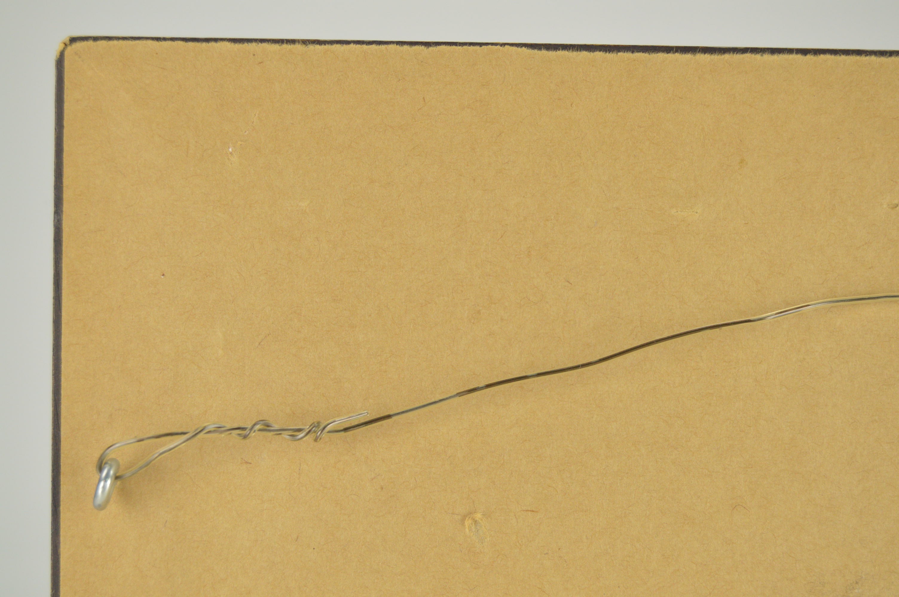 Framed Charleston, S.C. and Massachusetts Shell Prints