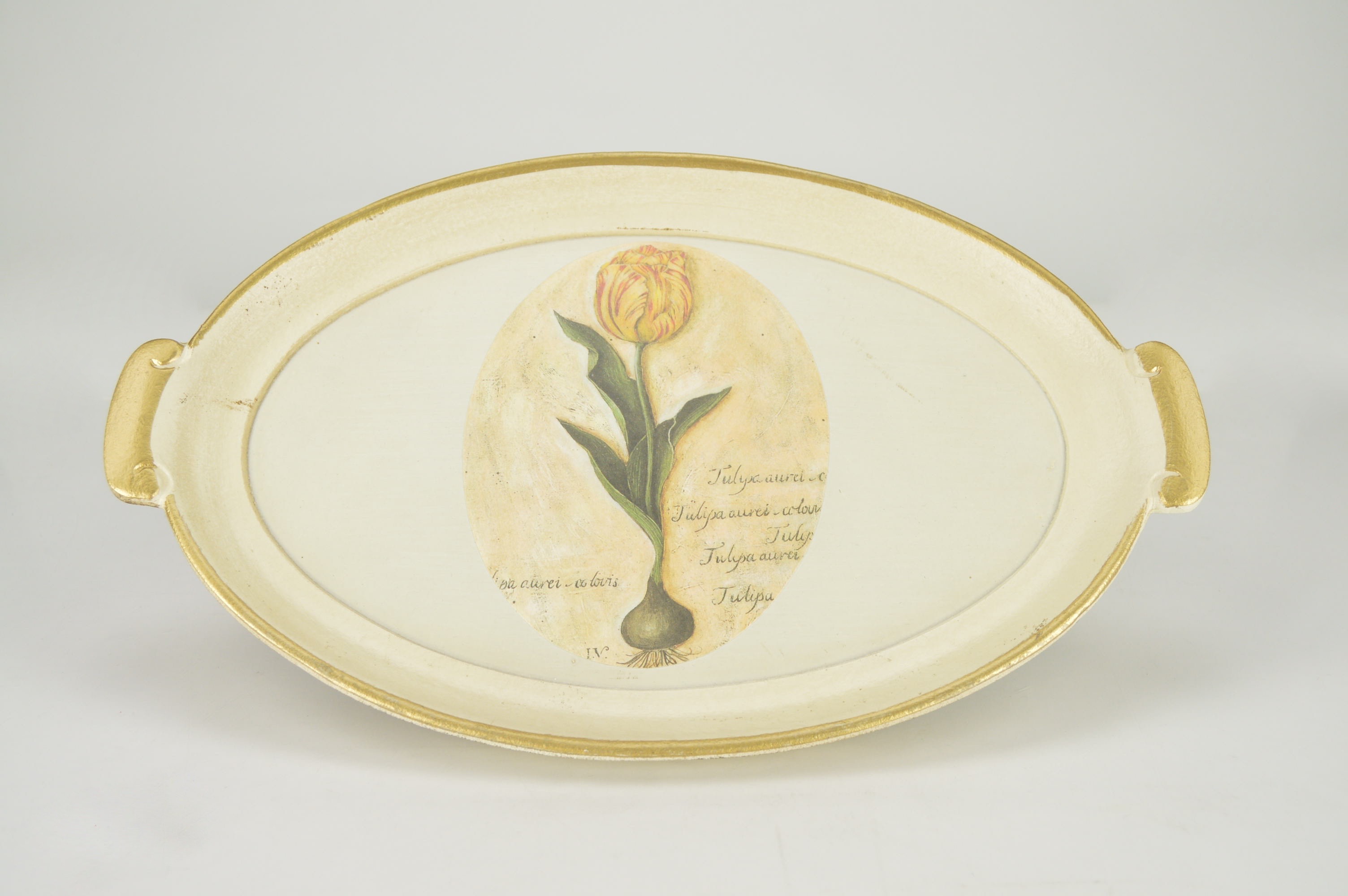 Framed Charleston, S.C. and Massachusetts Shell Prints