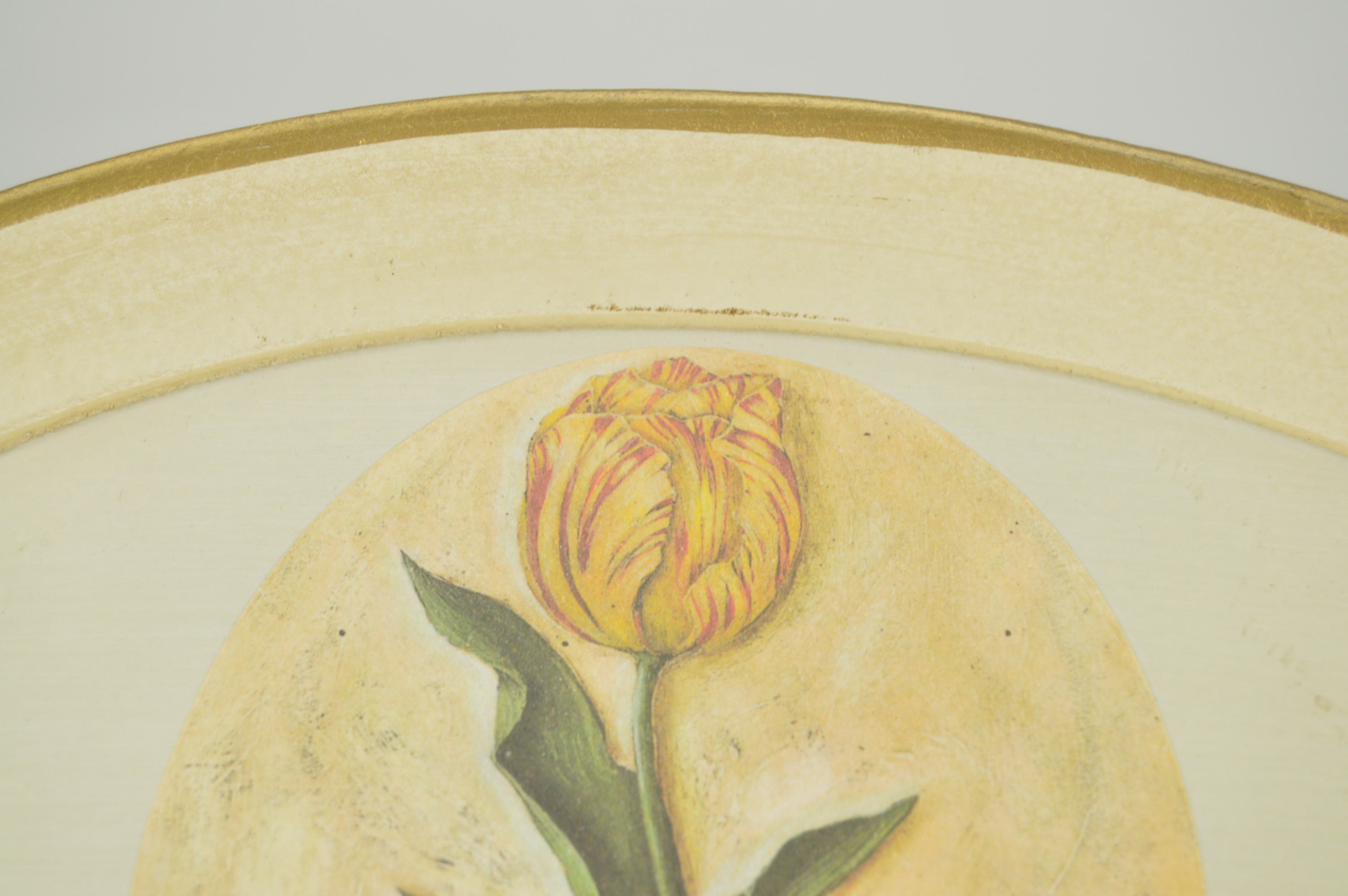 Framed Charleston, S.C. and Massachusetts Shell Prints