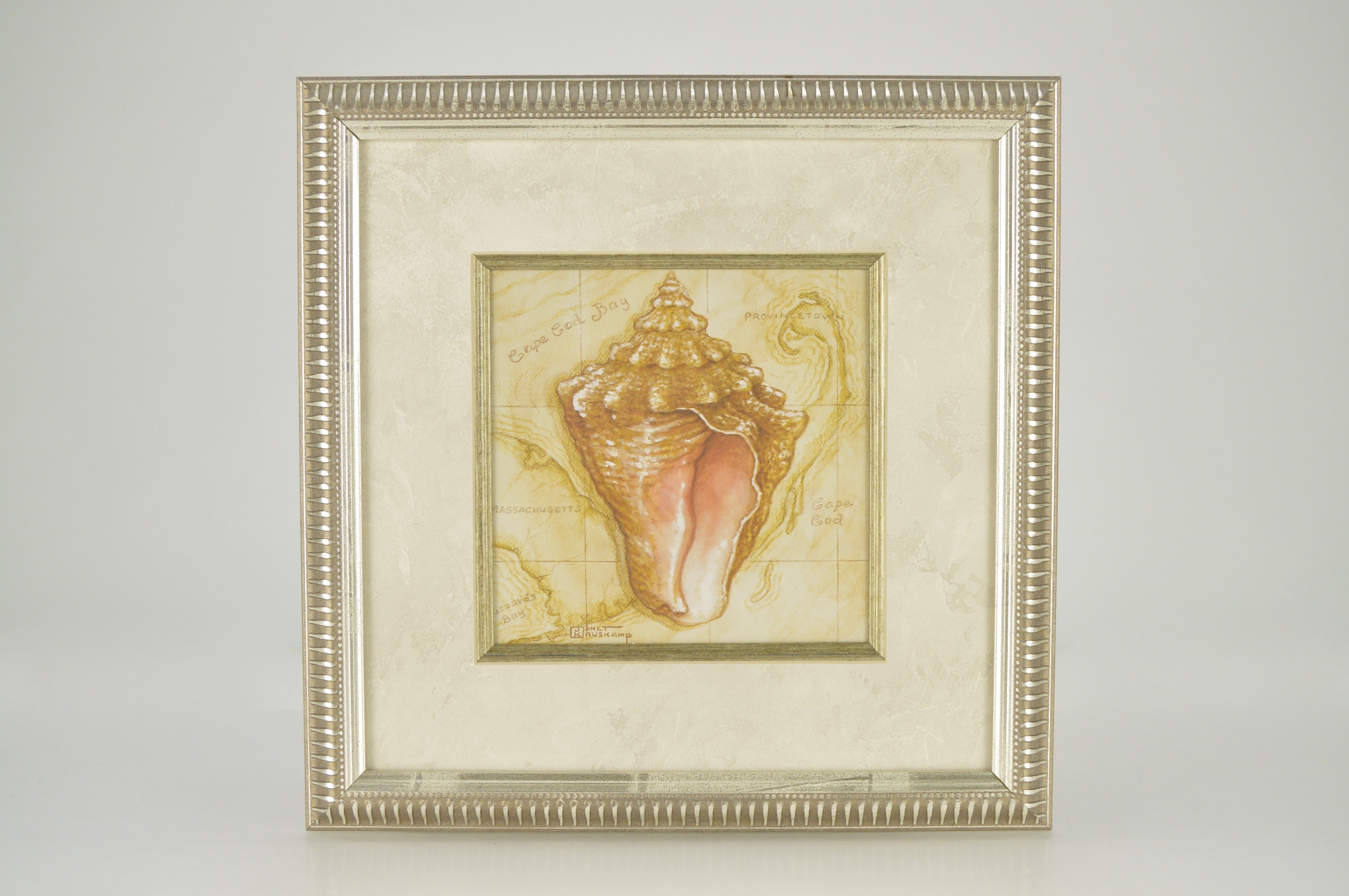 Framed Charleston, S.C. and Massachusetts Shell Prints