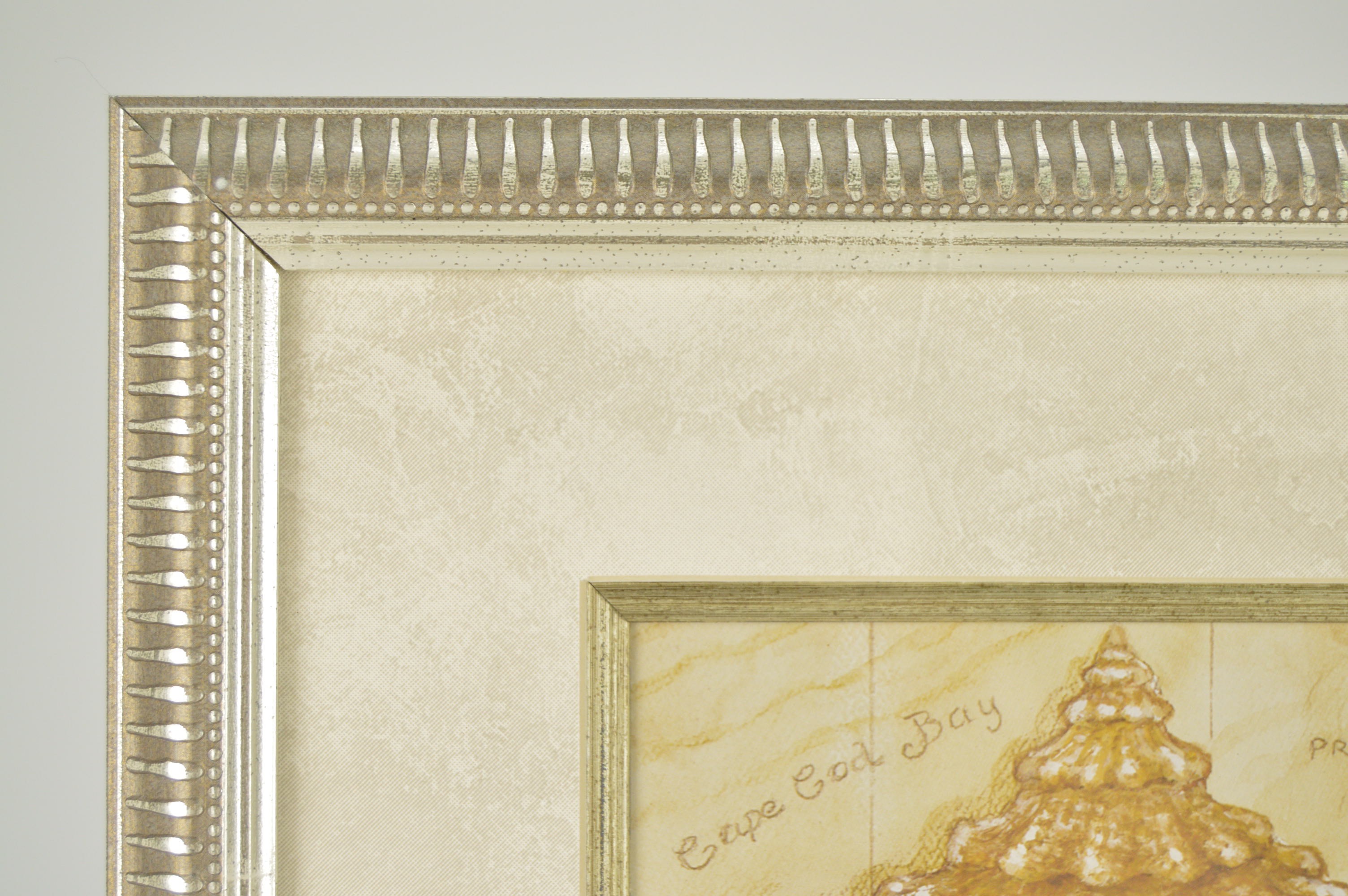 Framed Charleston, S.C. and Massachusetts Shell Prints