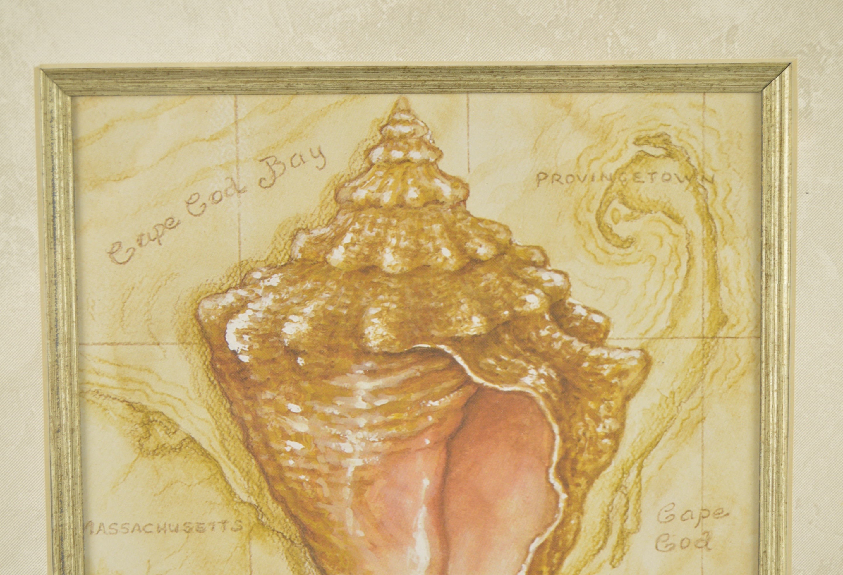 Framed Charleston, S.C. and Massachusetts Shell Prints