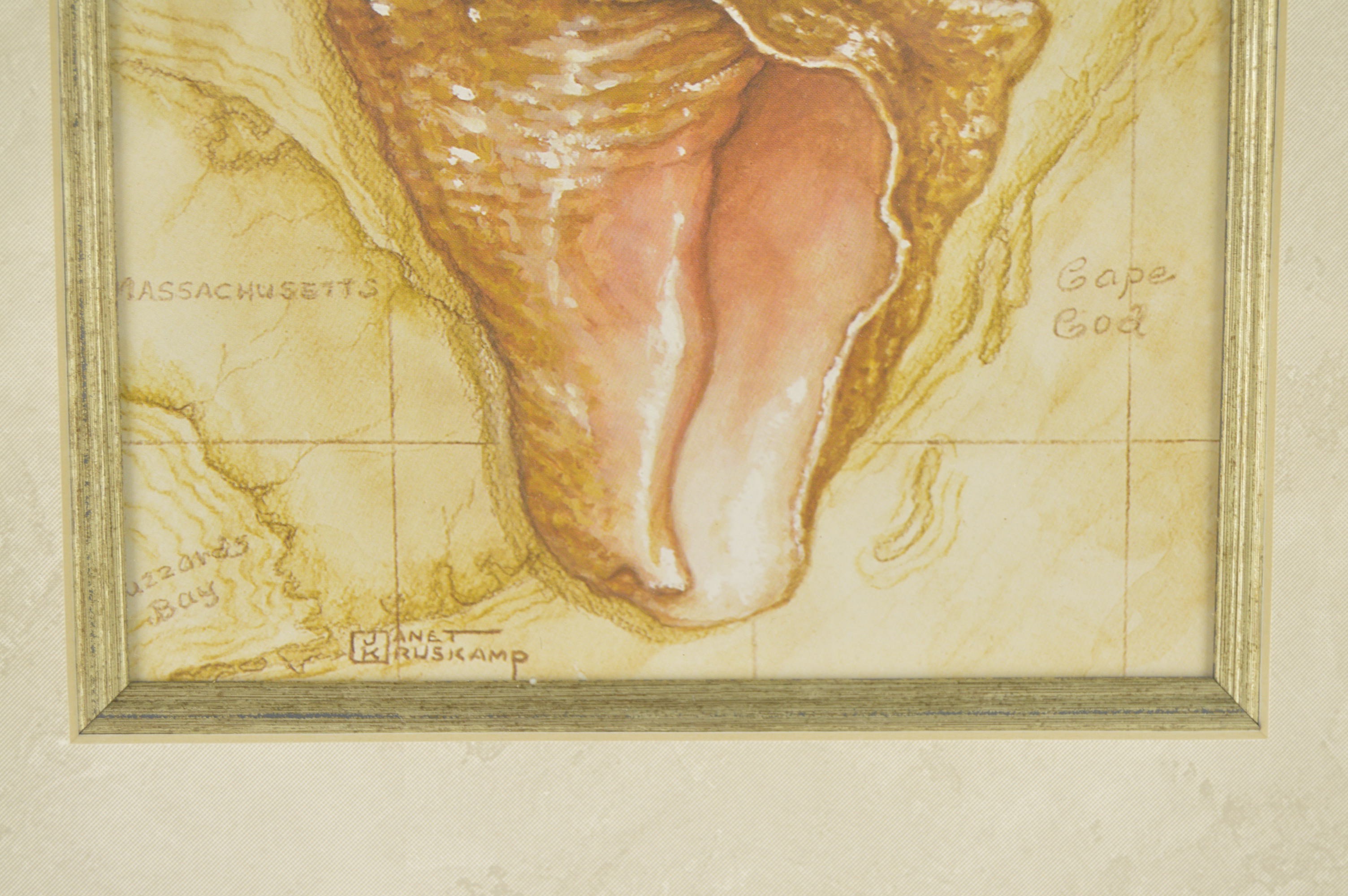 Framed Charleston, S.C. and Massachusetts Shell Prints