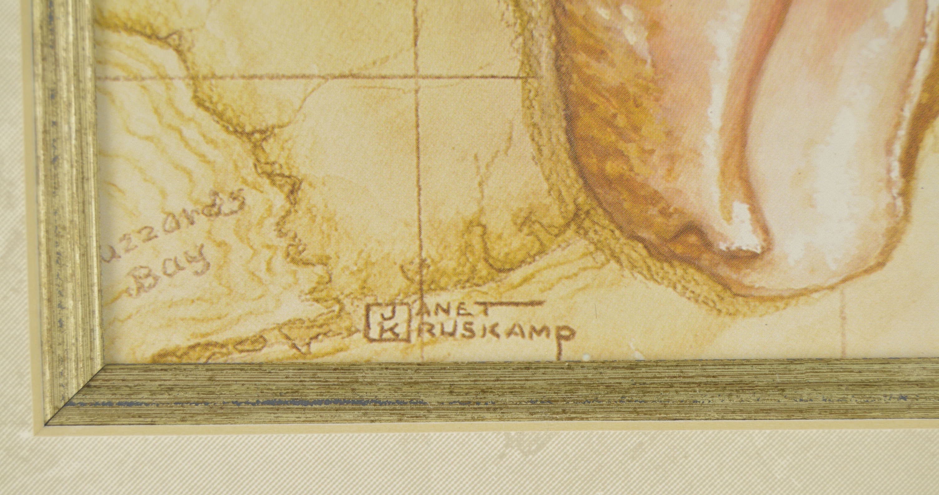 Framed Charleston, S.C. and Massachusetts Shell Prints