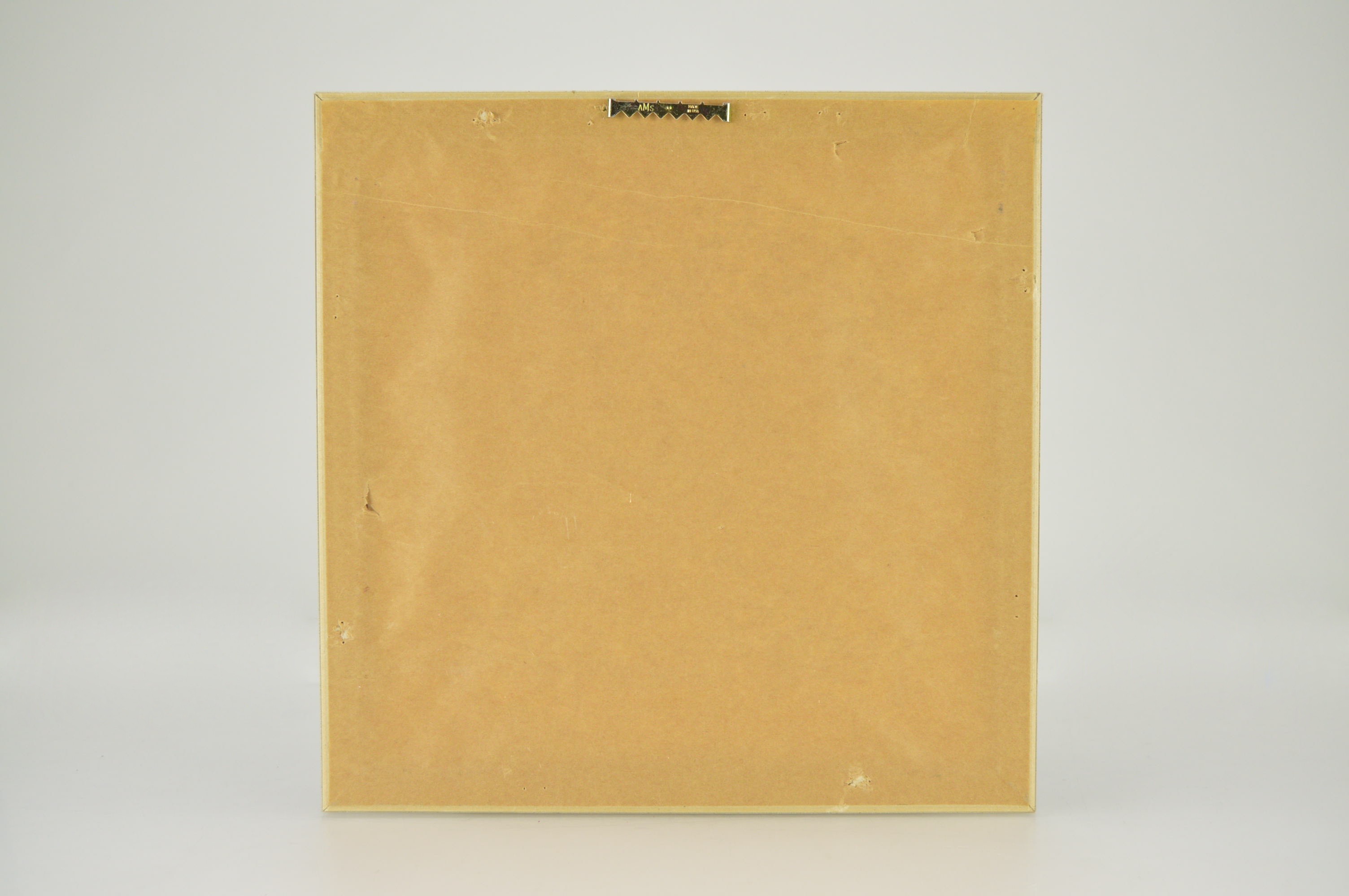 Framed Charleston, S.C. and Massachusetts Shell Prints