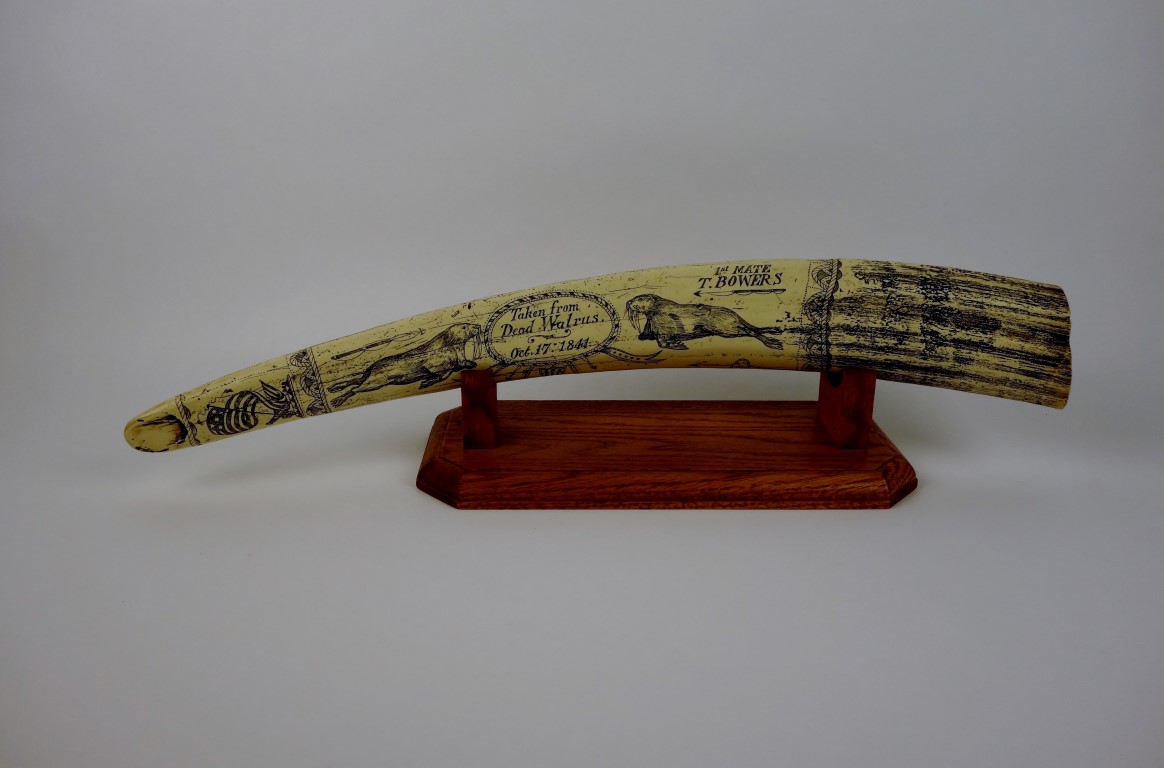 Reproduction Scrimshaw Walrus Tusk