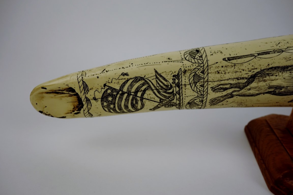 Reproduction Scrimshaw Walrus Tusk