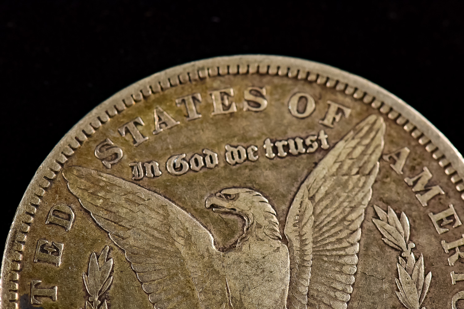 Set of Morgan Silver Dollar Coins