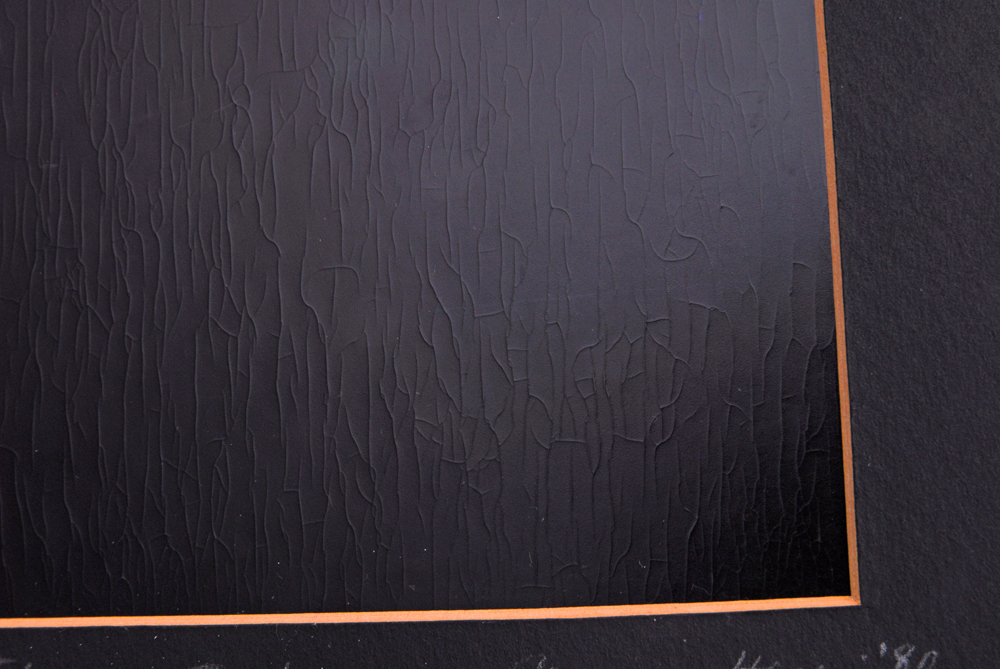 Signed Photograph Depicting Clothesline in Florence, Italy