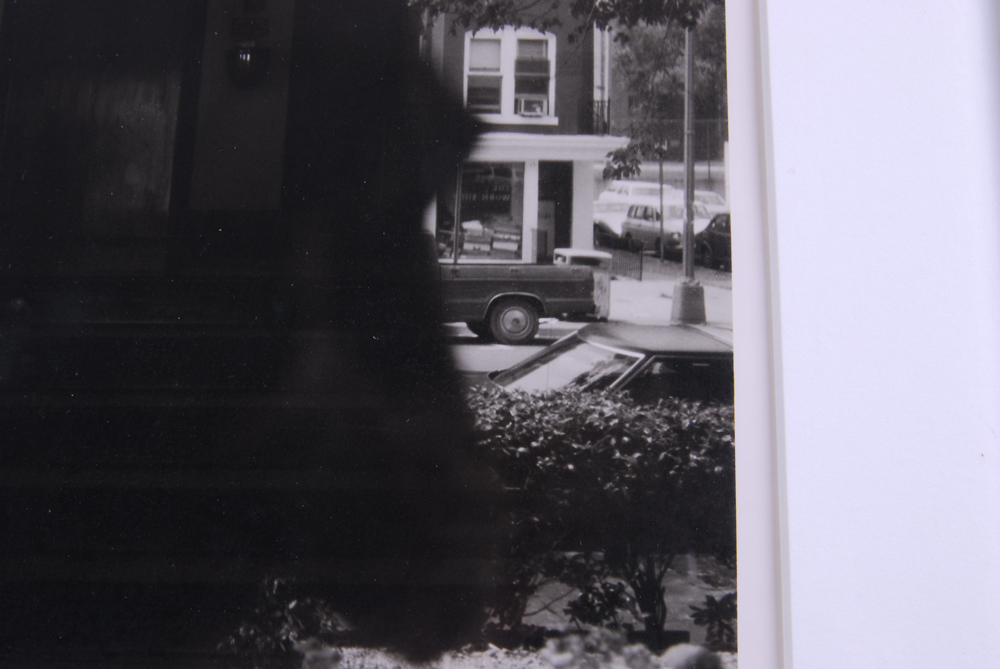 Signed Limited Edition Photograph by Zinnia "Unside/Outside"