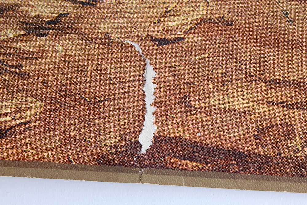 Unframed Charles M. Russell Prints