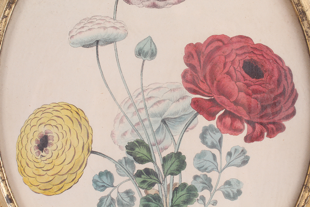 Pair of Floral Lithographs with Ornately Carved Wooden Frames