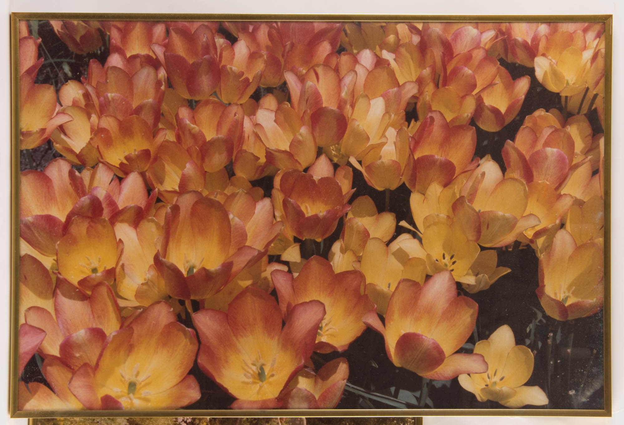 Trio of Vintage Metal Framed Photographic Prints