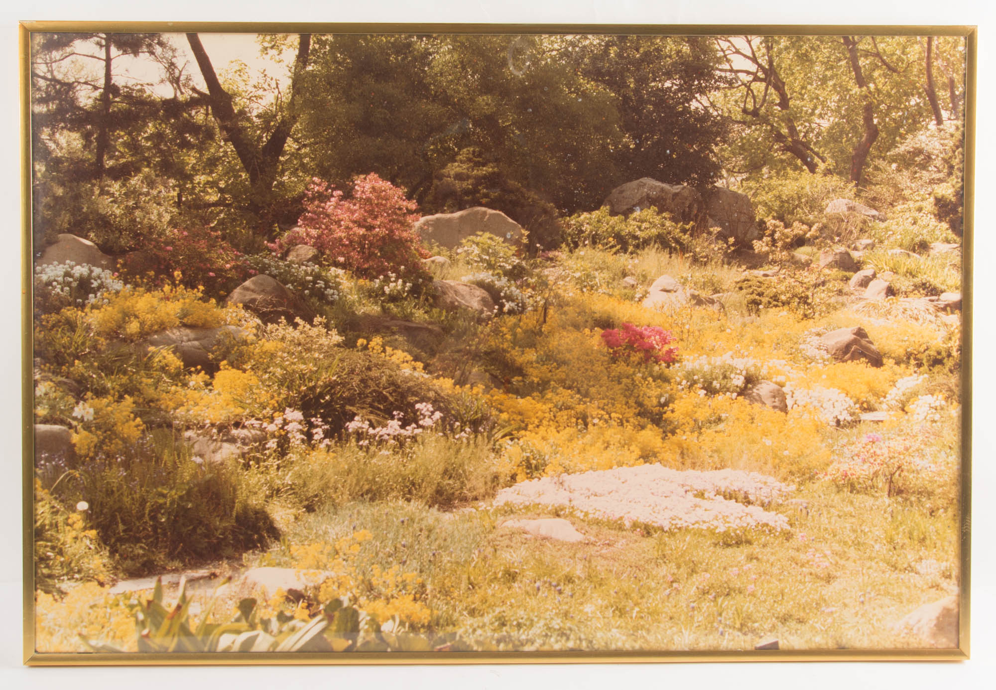 Trio of Vintage Metal Framed Photographic Prints