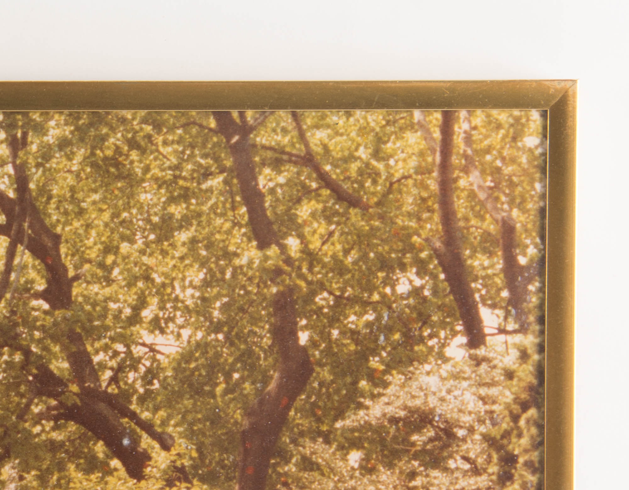 Trio of Vintage Metal Framed Photographic Prints