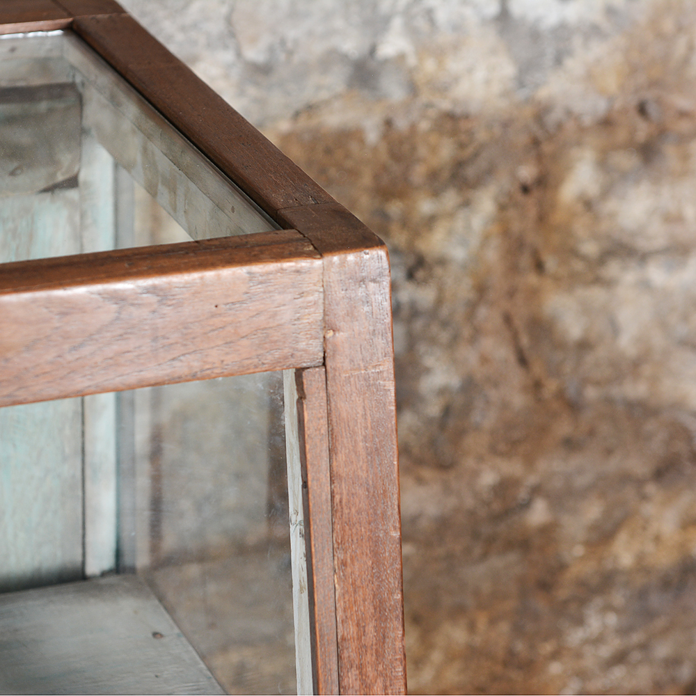 Vintage Slant-Front Display Case