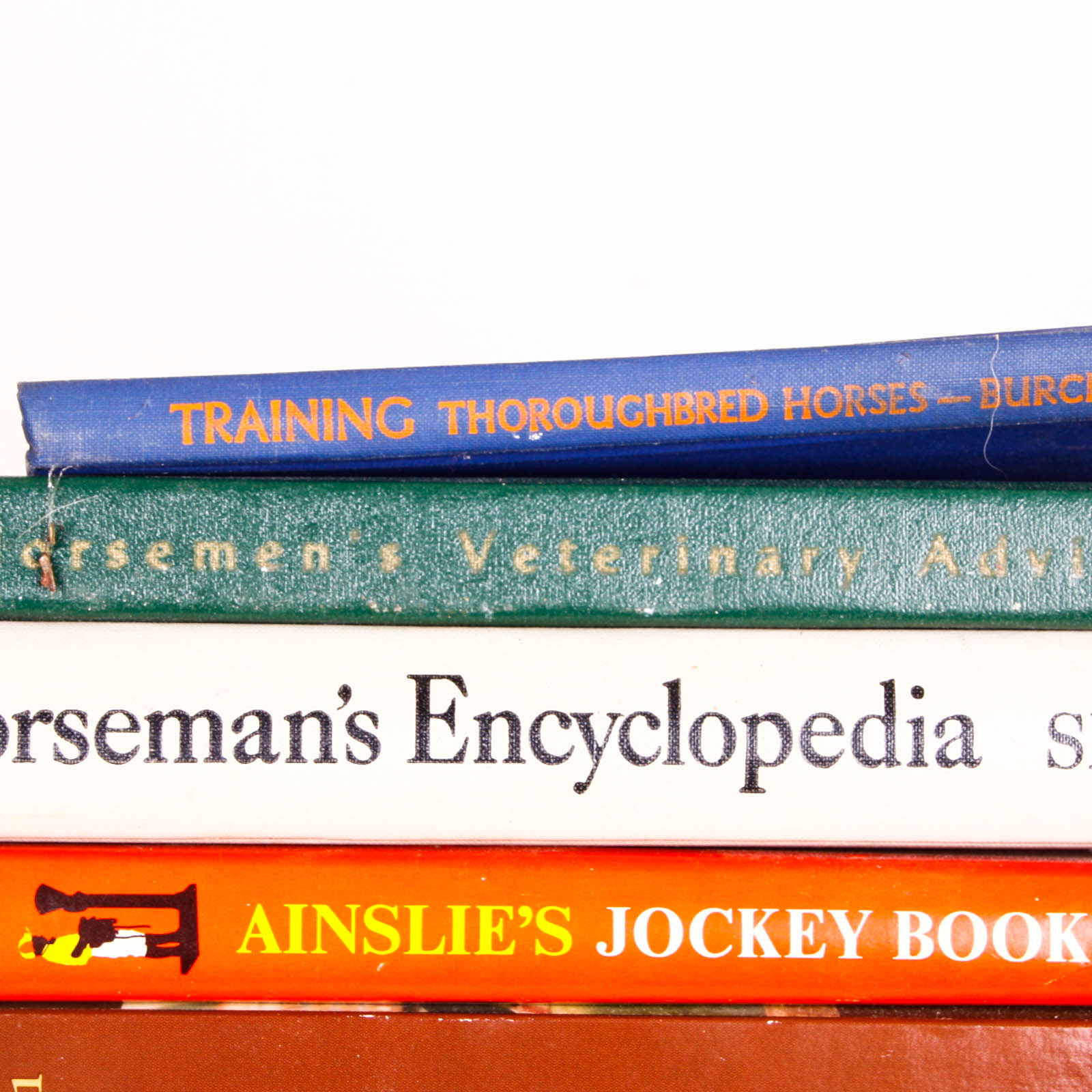 Horse Racing and Equine Themed Books