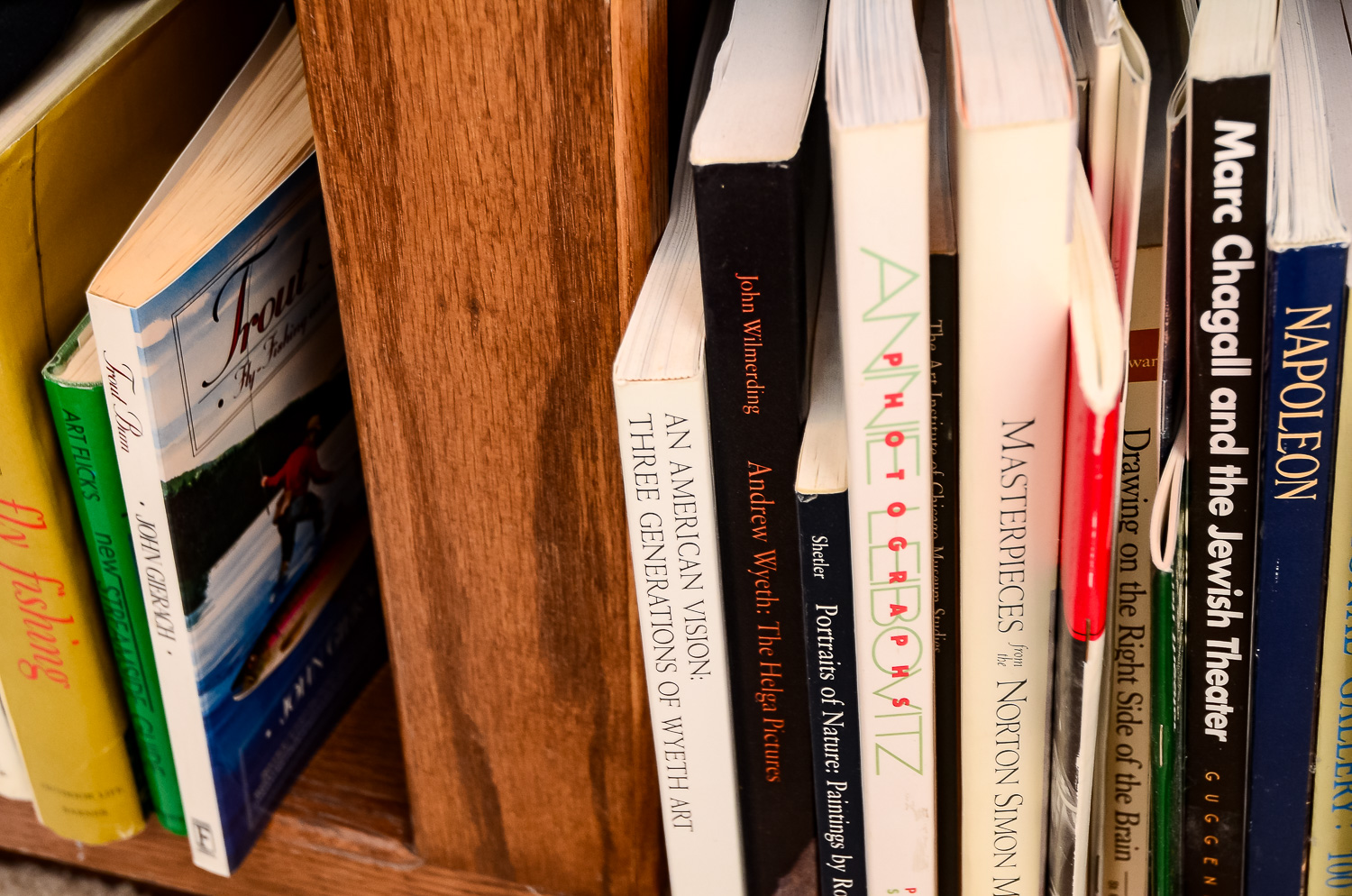 Collection of Art Books