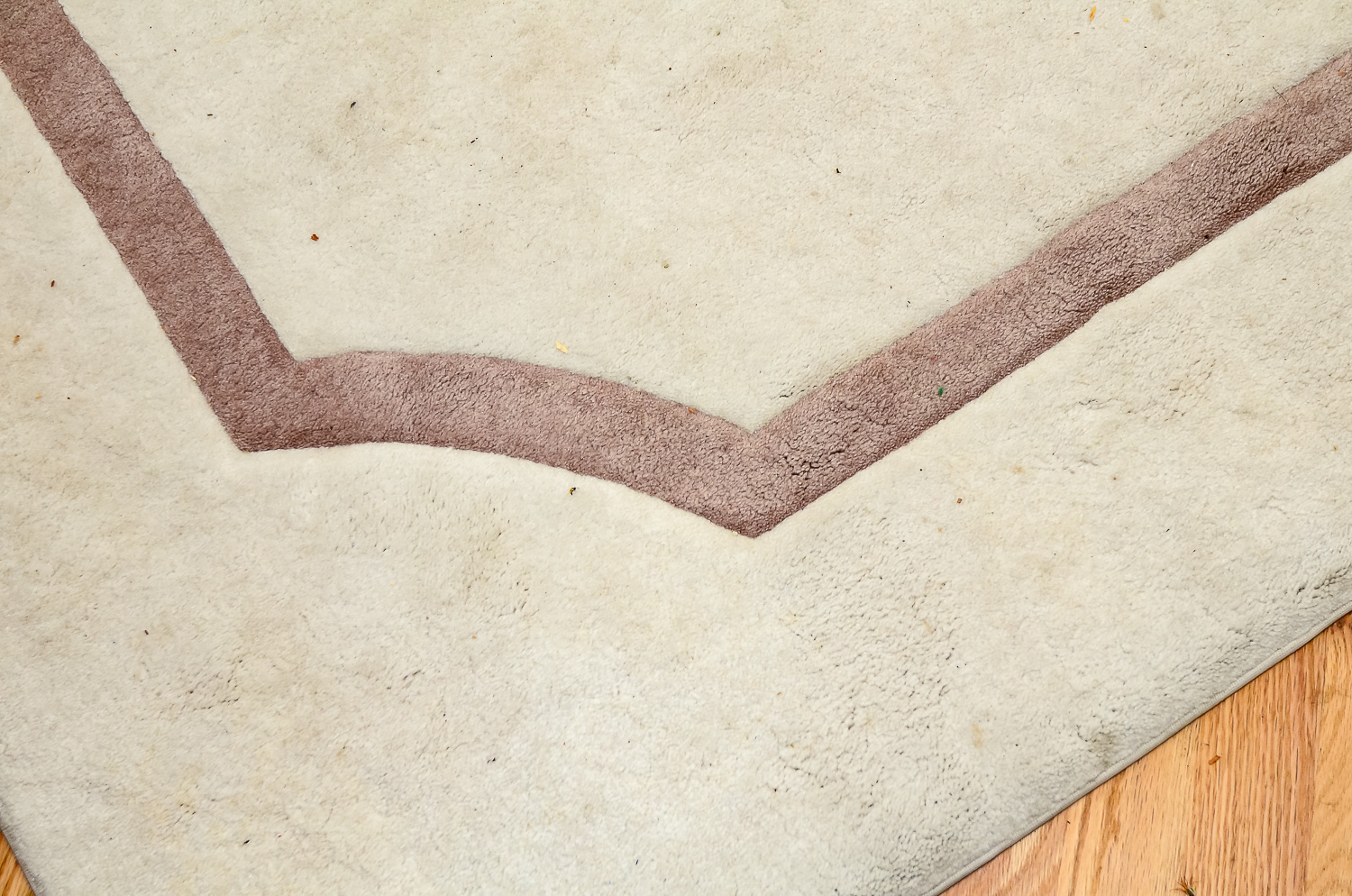 Machine-Made Cream and Taupe Area Rug