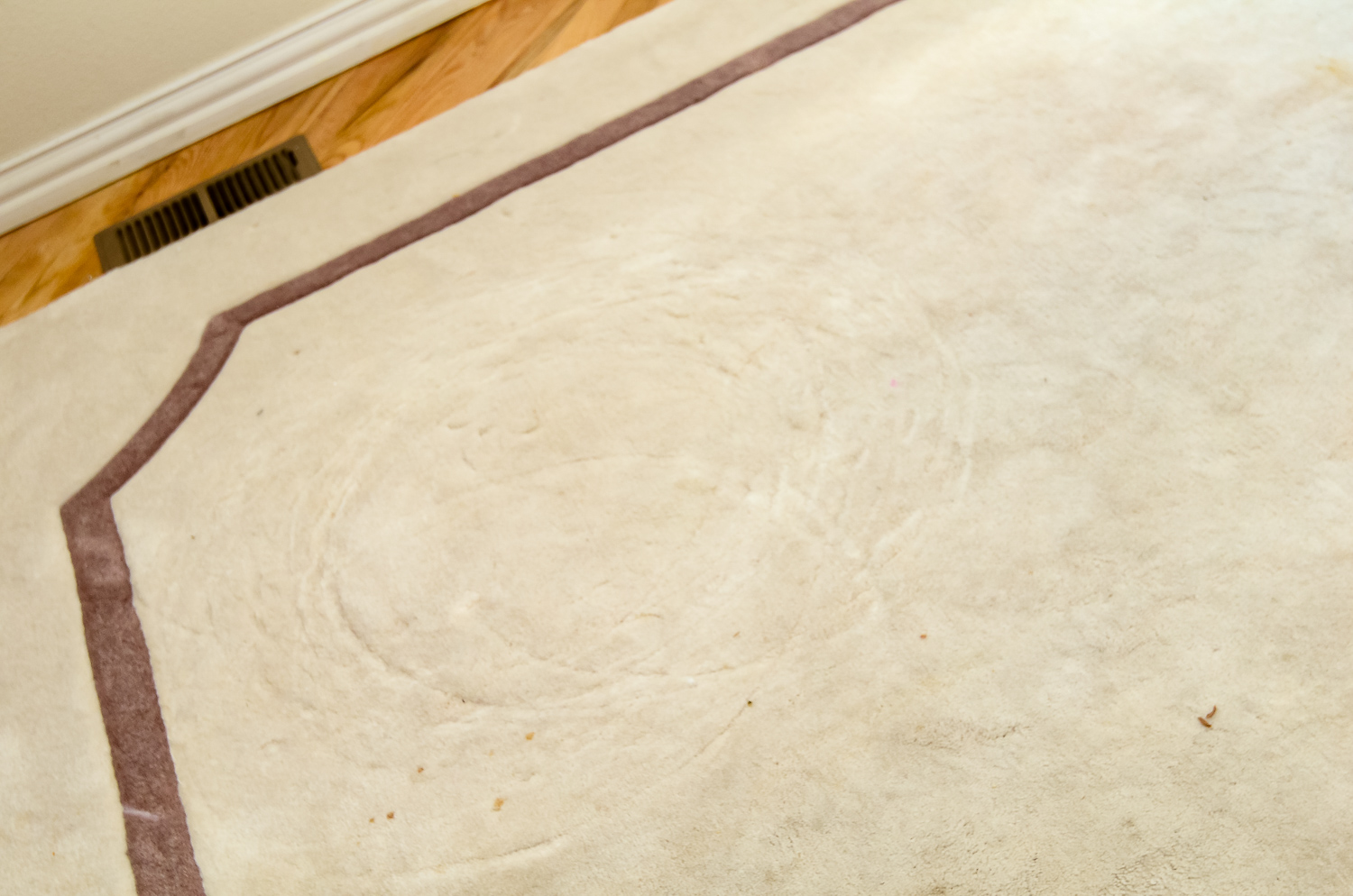 Machine-Made Cream and Taupe Area Rug