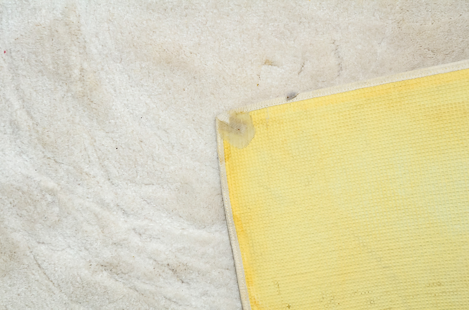 Machine-Made Cream and Taupe Area Rug