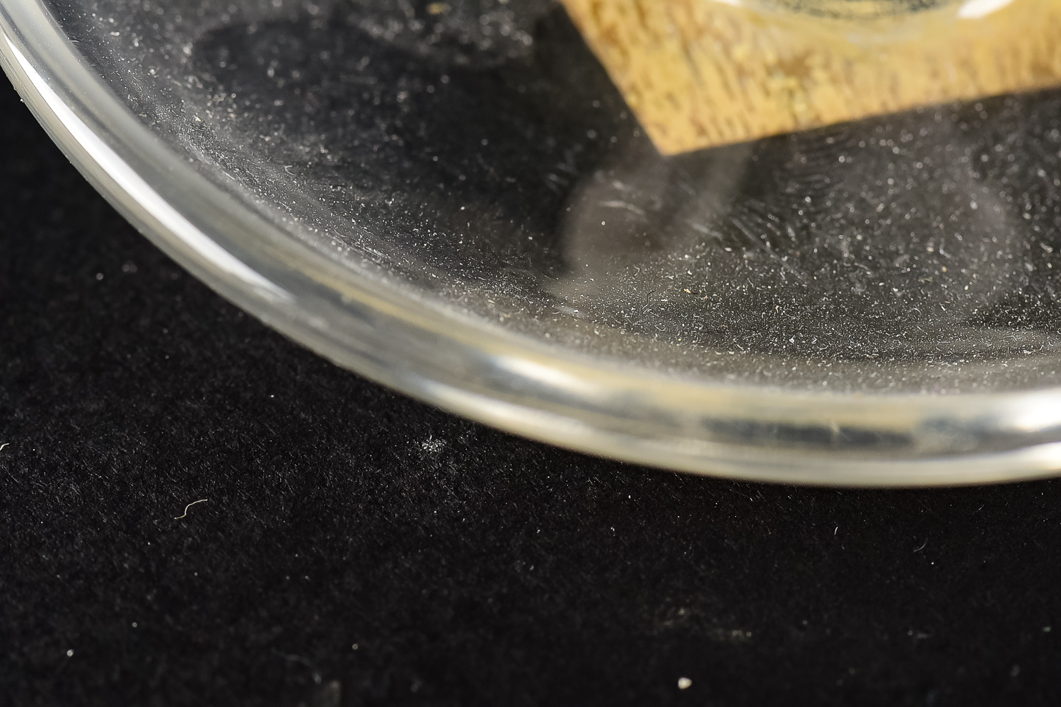 Glass Bird Ash Receiver