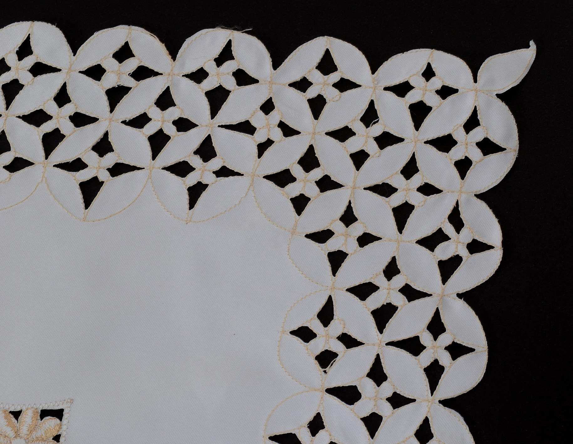 Floral Embroidered Tablecloth and Matching Napkins