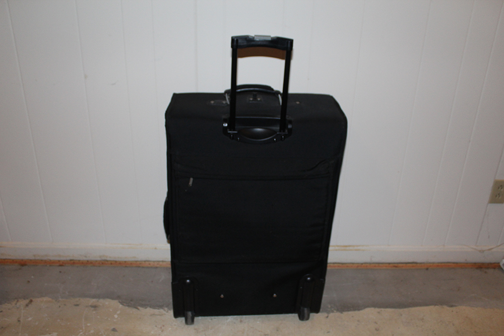 Platinum Hard-Shell Suitcase and Animal Print Jones New York Umbrella