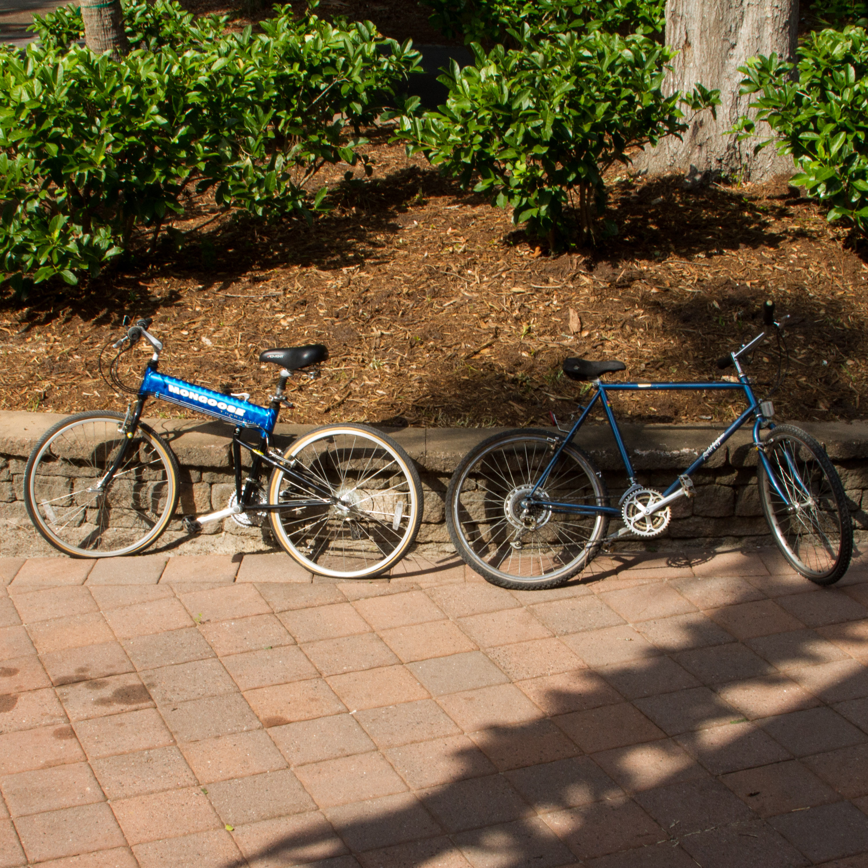 Mongoose and Rock hopper Bicycles