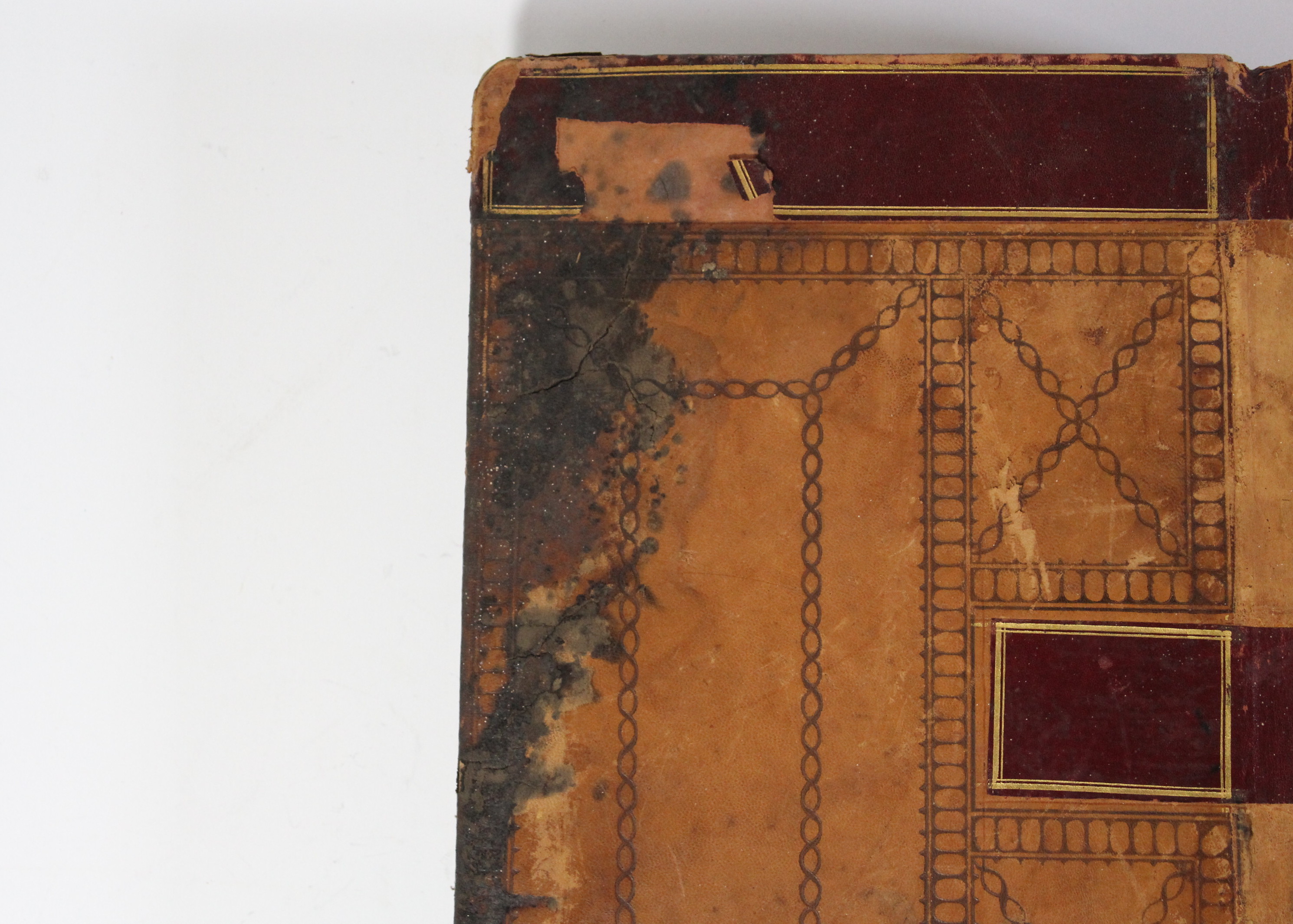 Antique Leather-Bound Ledger