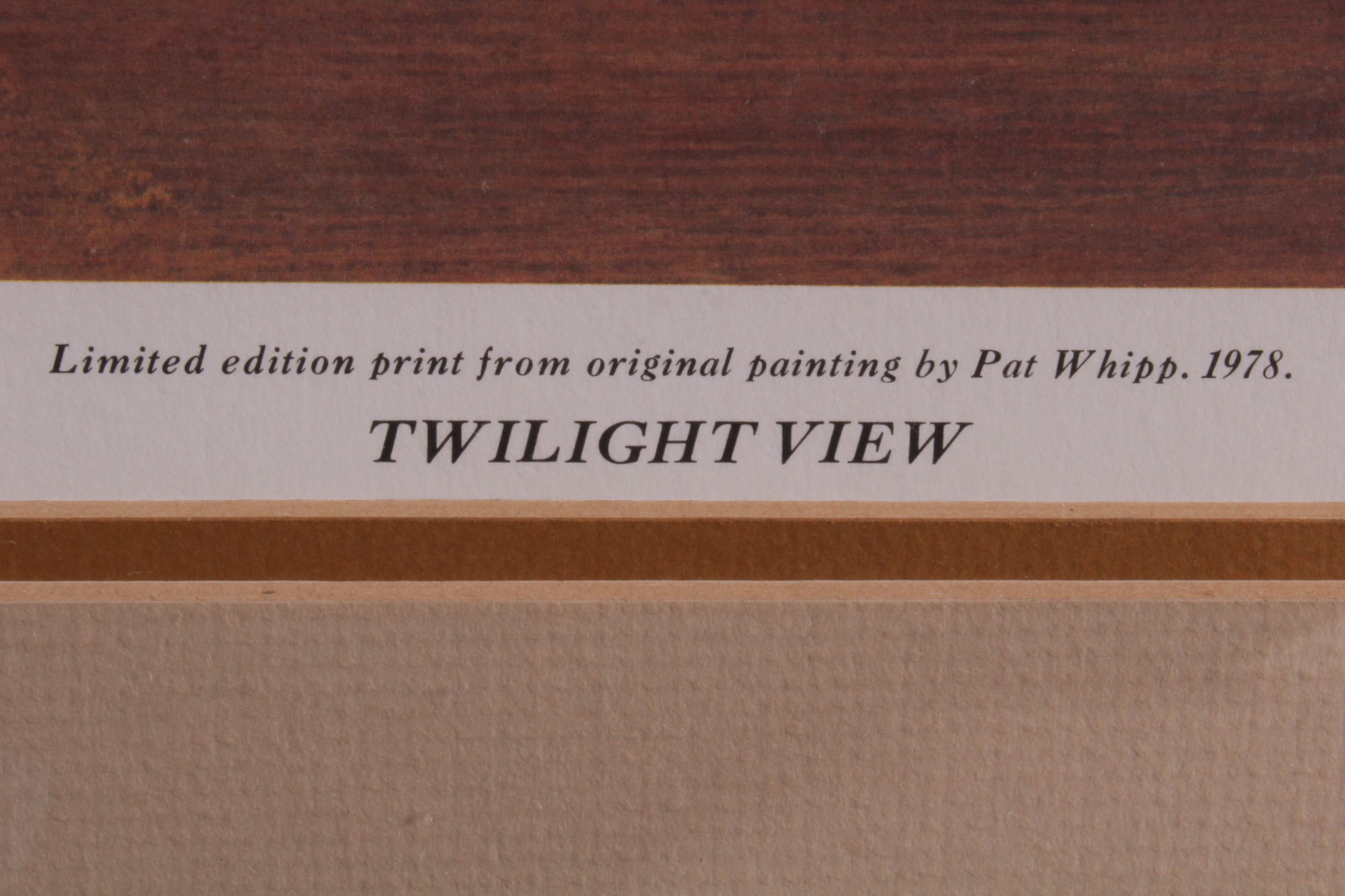 "Twilight View" Limited Edition Print by Pat Whipp