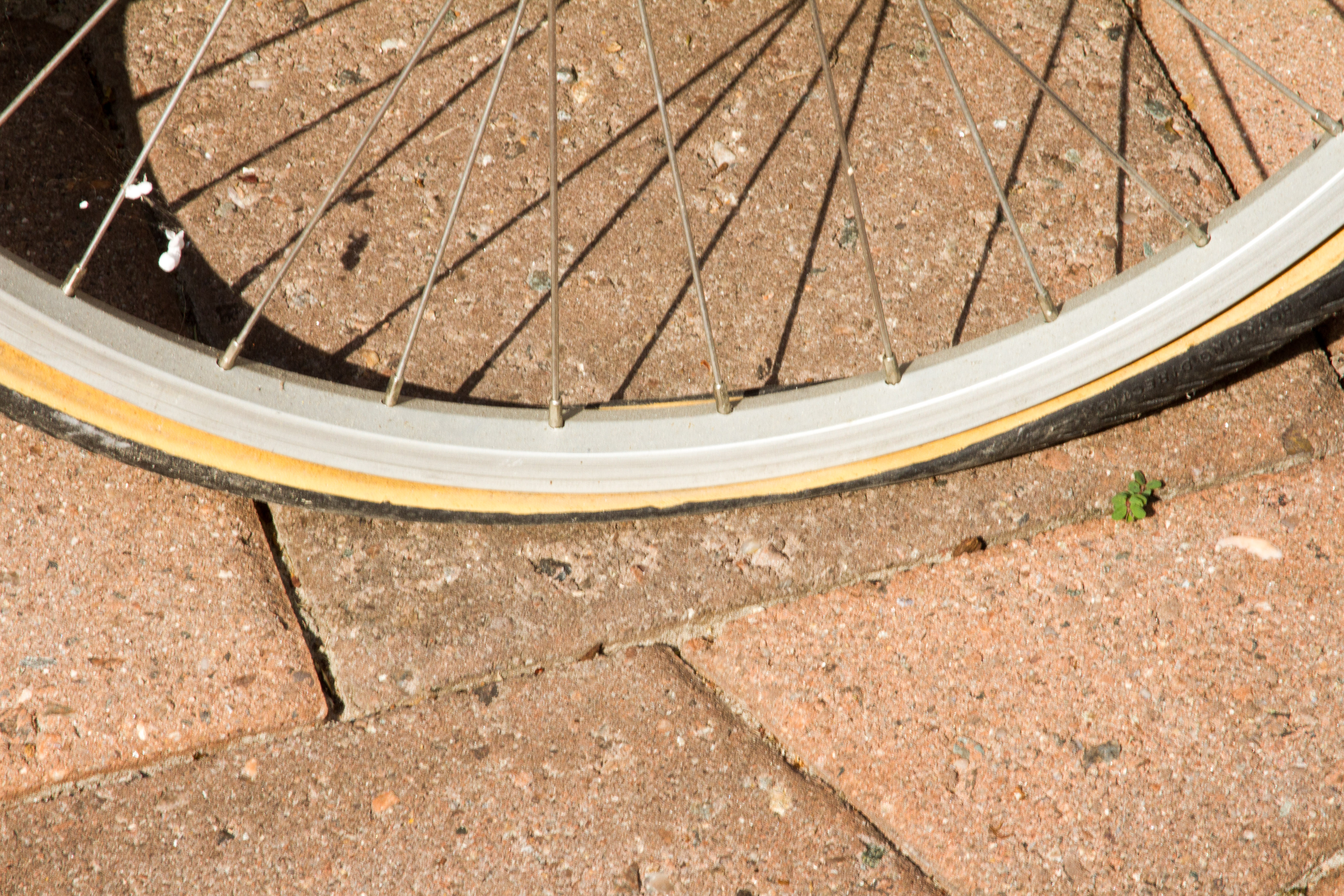 Mongoose and Rock hopper Bicycles