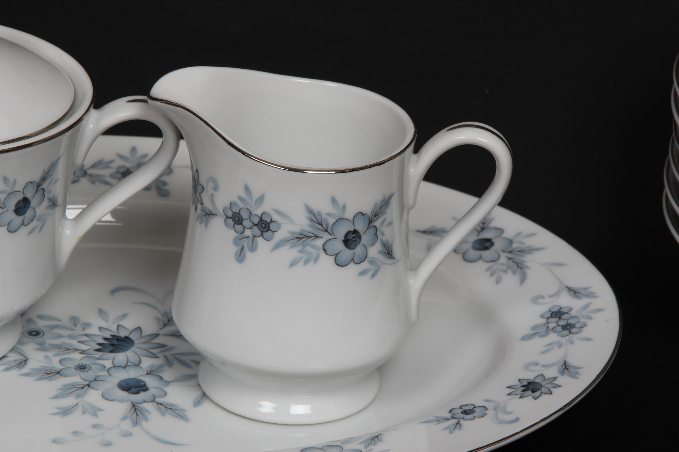 Nasco "Champlain" Fine China Set