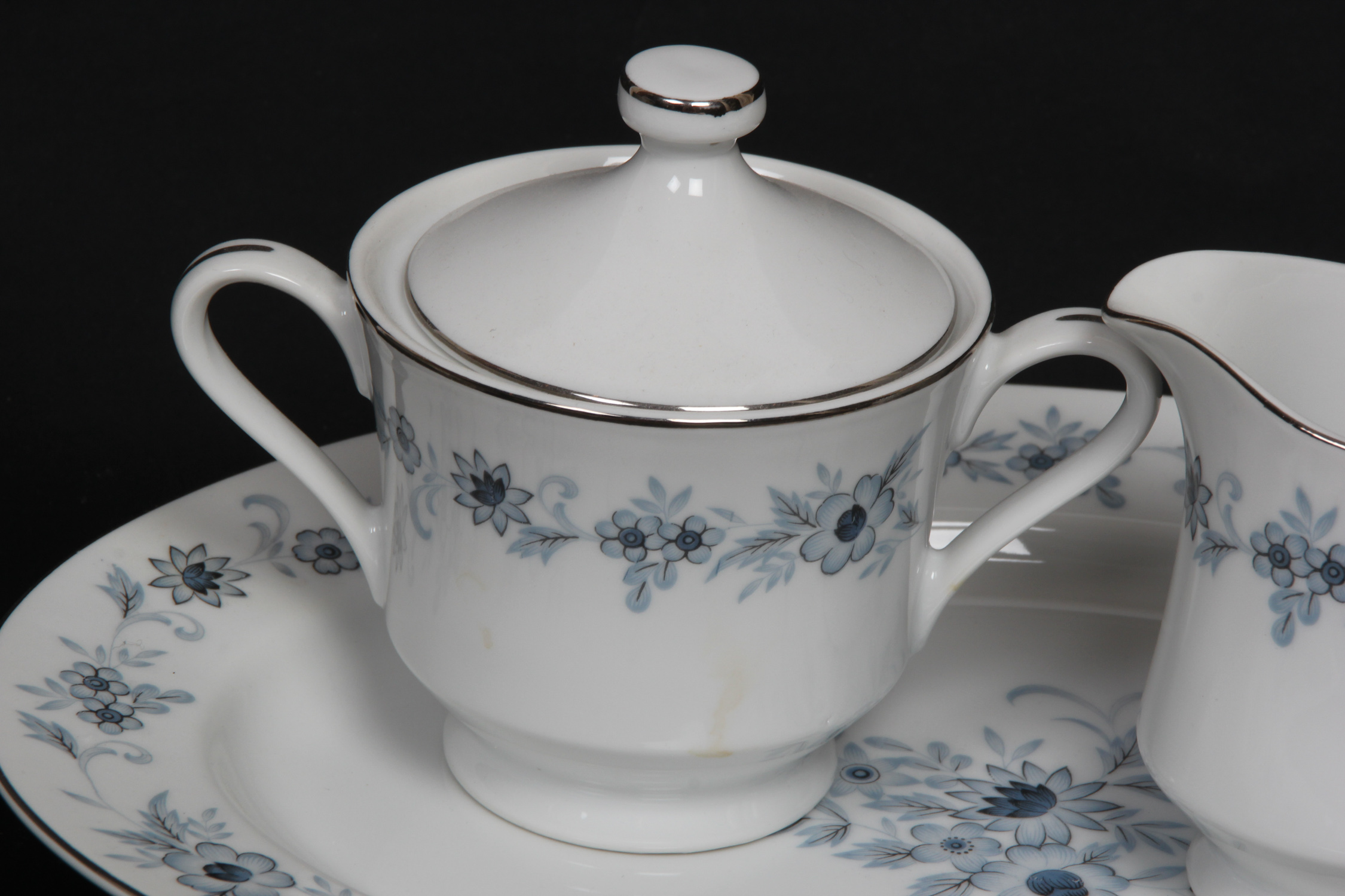 Nasco "Champlain" Fine China Set