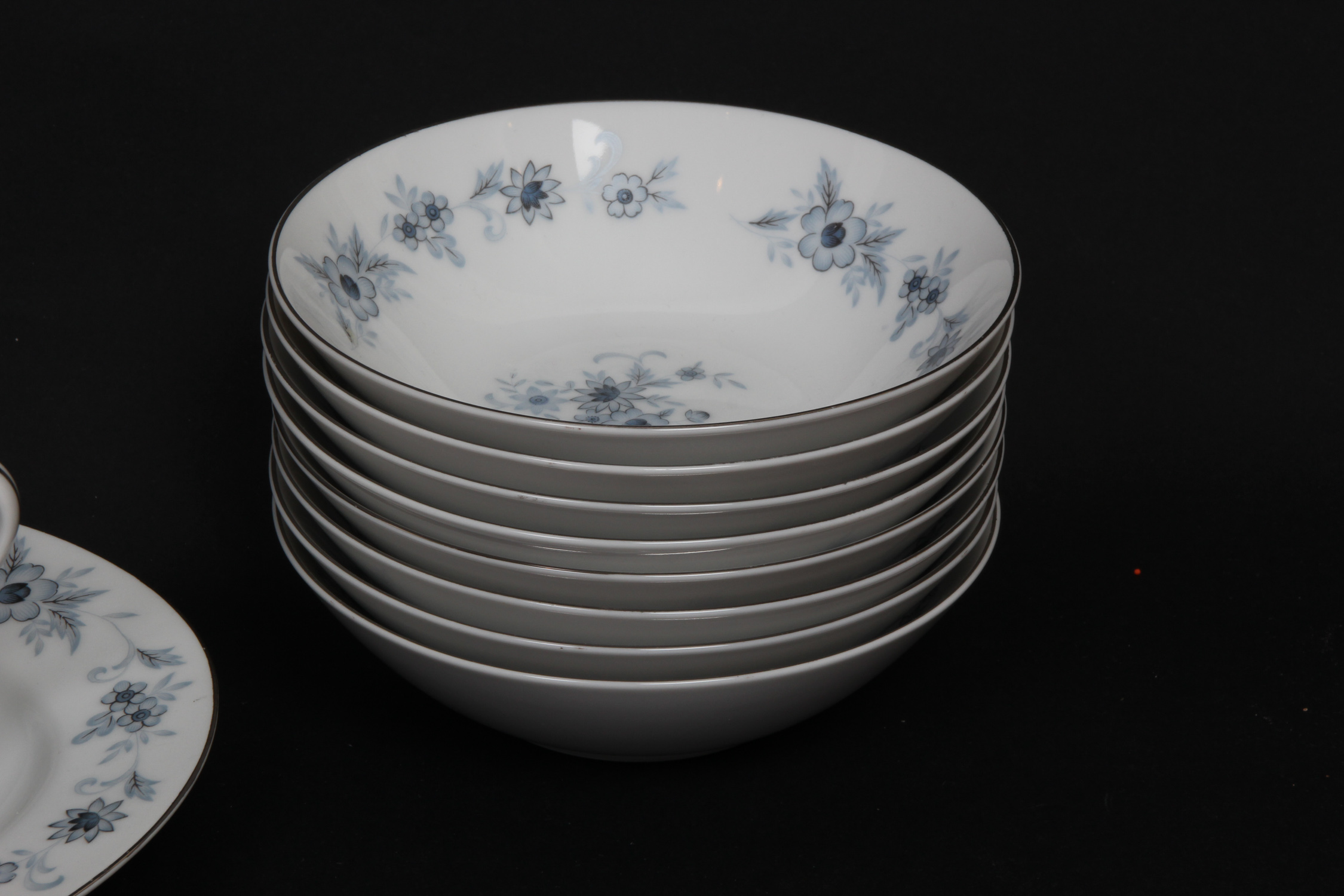 Nasco "Champlain" Fine China Set