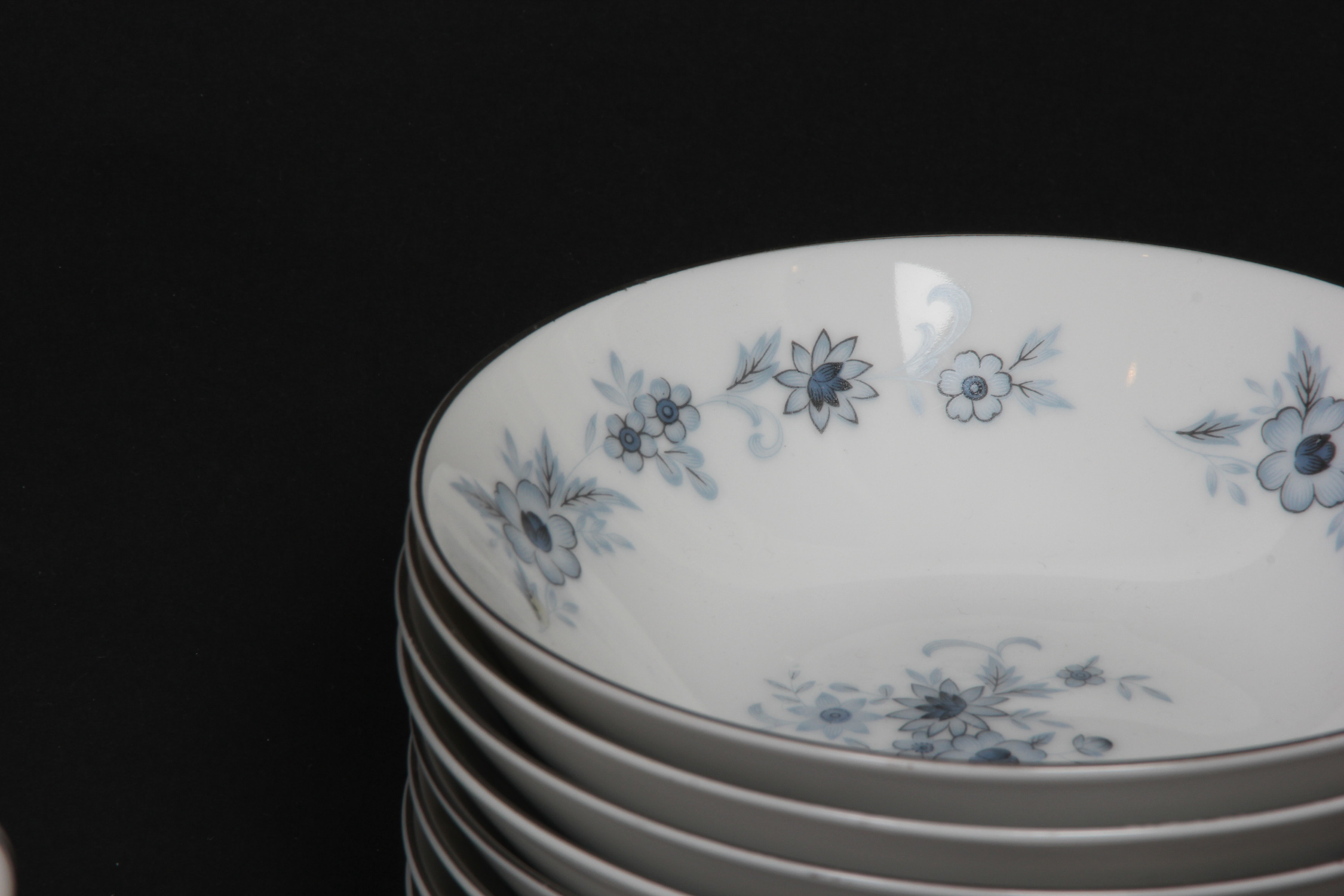 Nasco "Champlain" Fine China Set