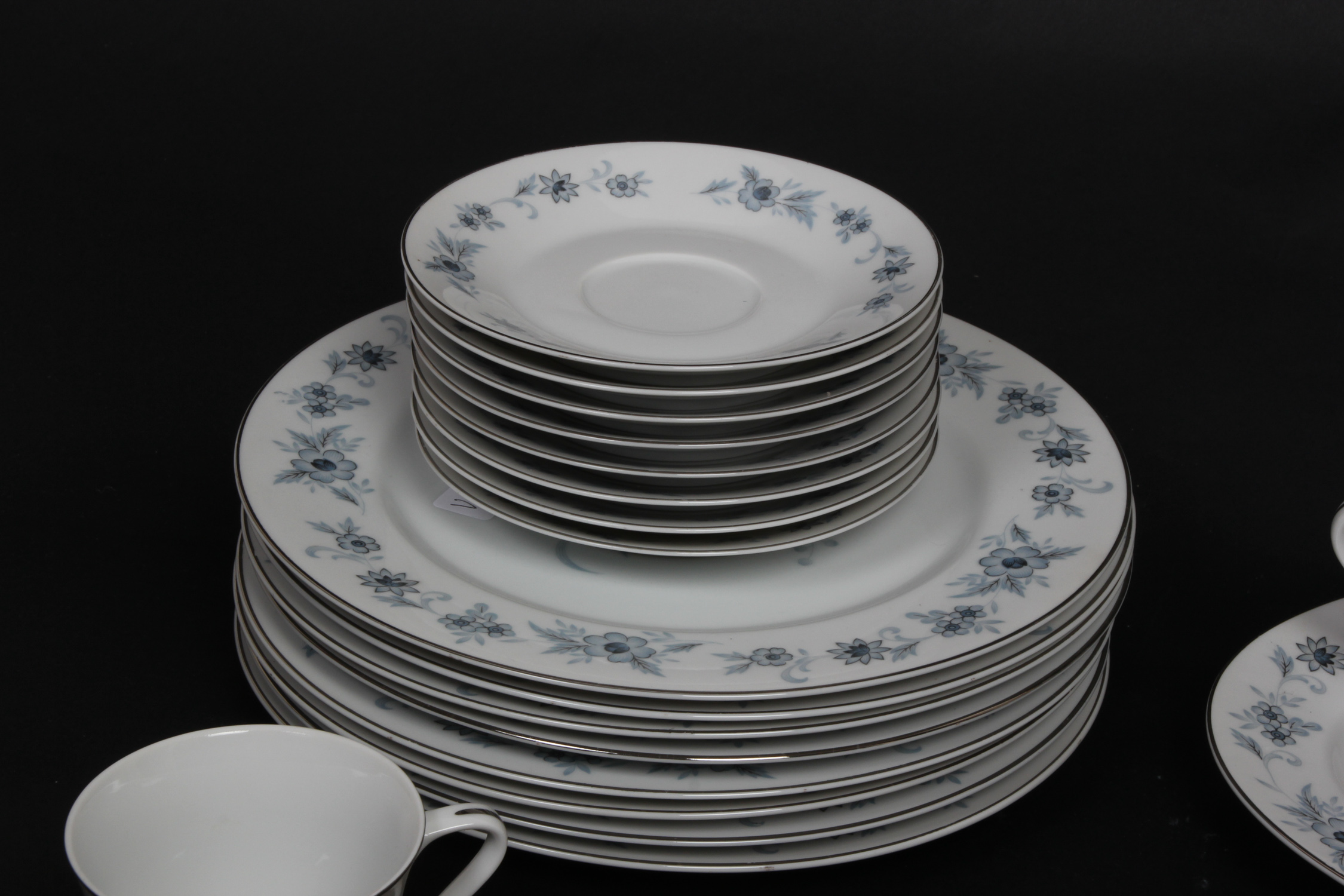 Nasco "Champlain" Fine China Set