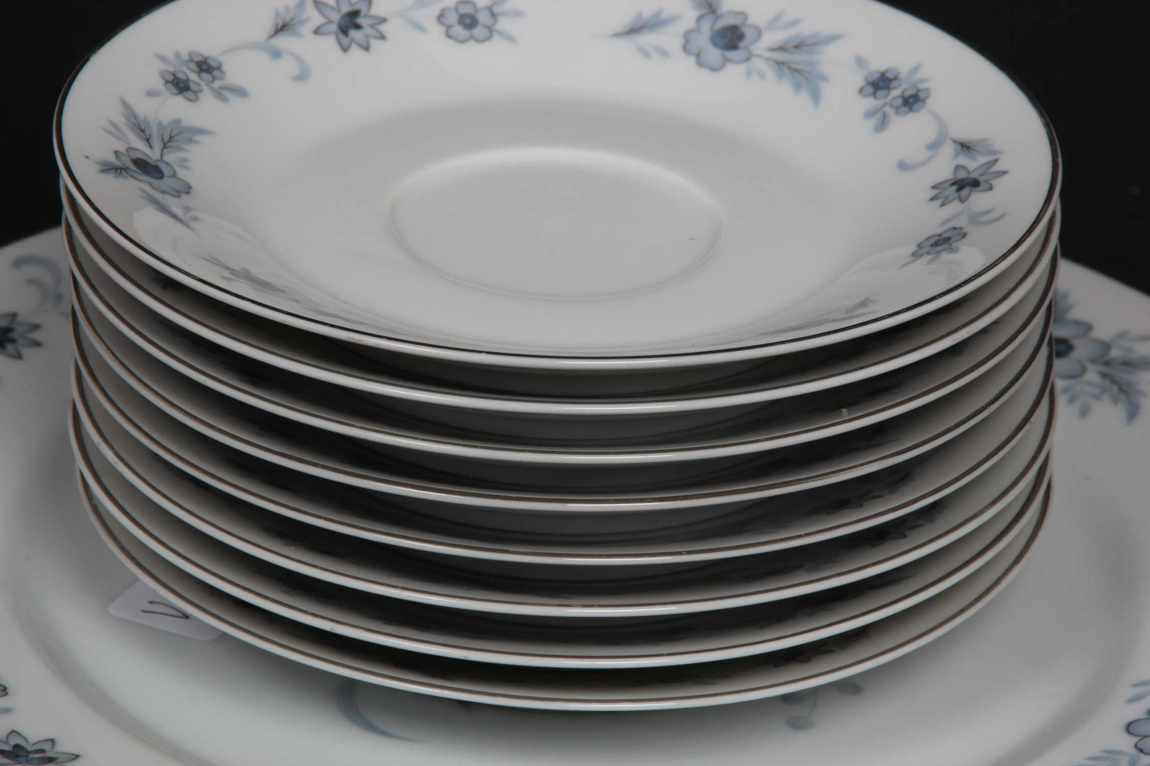 Nasco "Champlain" Fine China Set