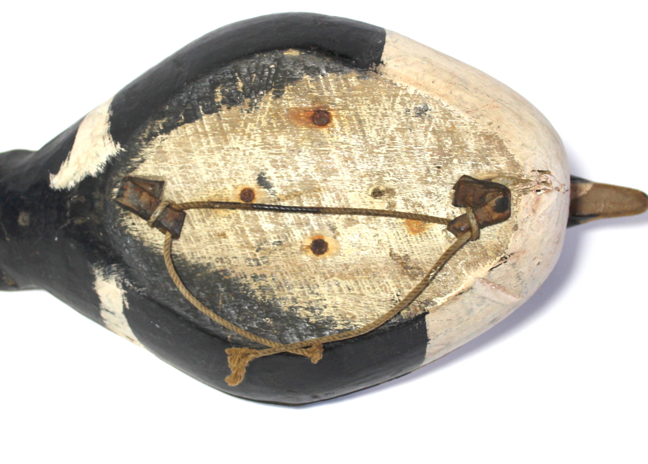 Antique Eider Duck Decoy