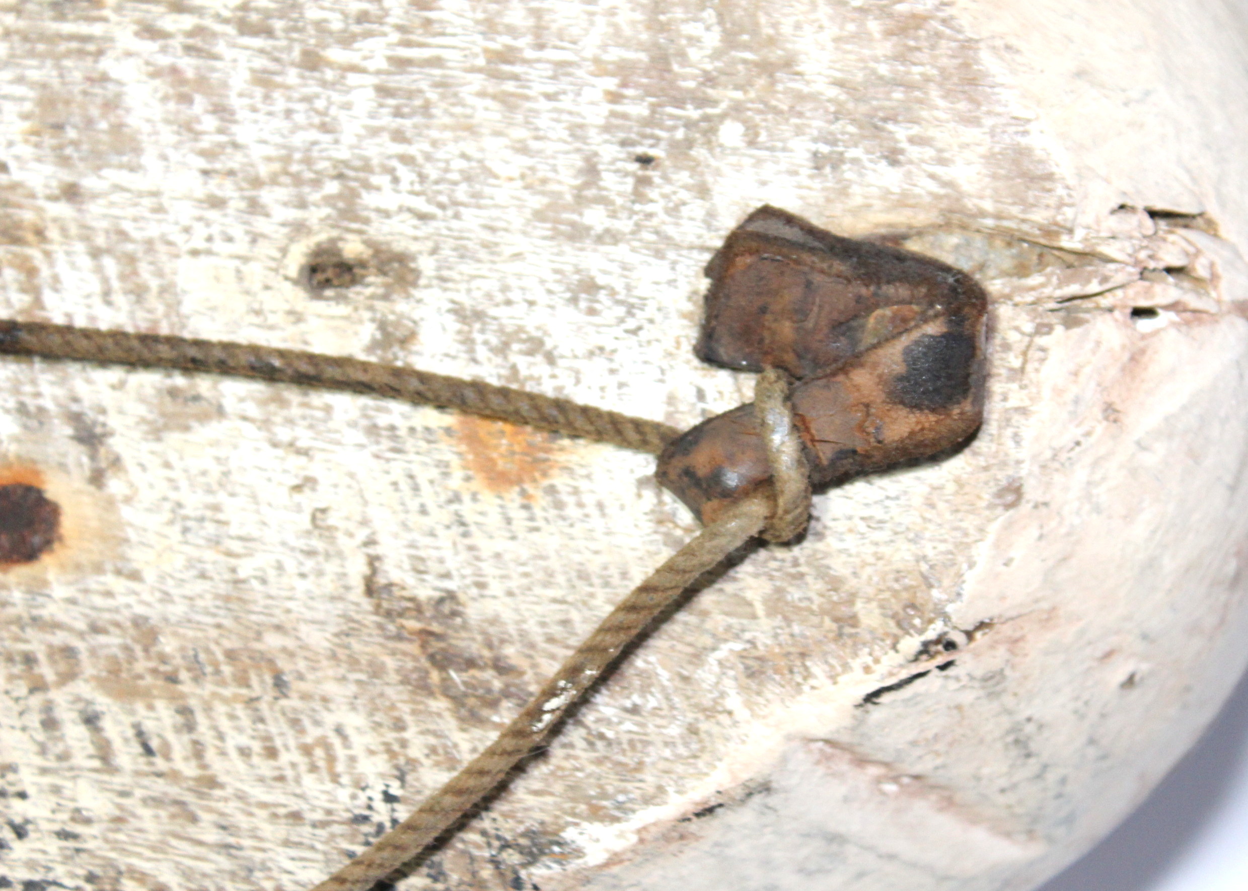 Antique Eider Duck Decoy